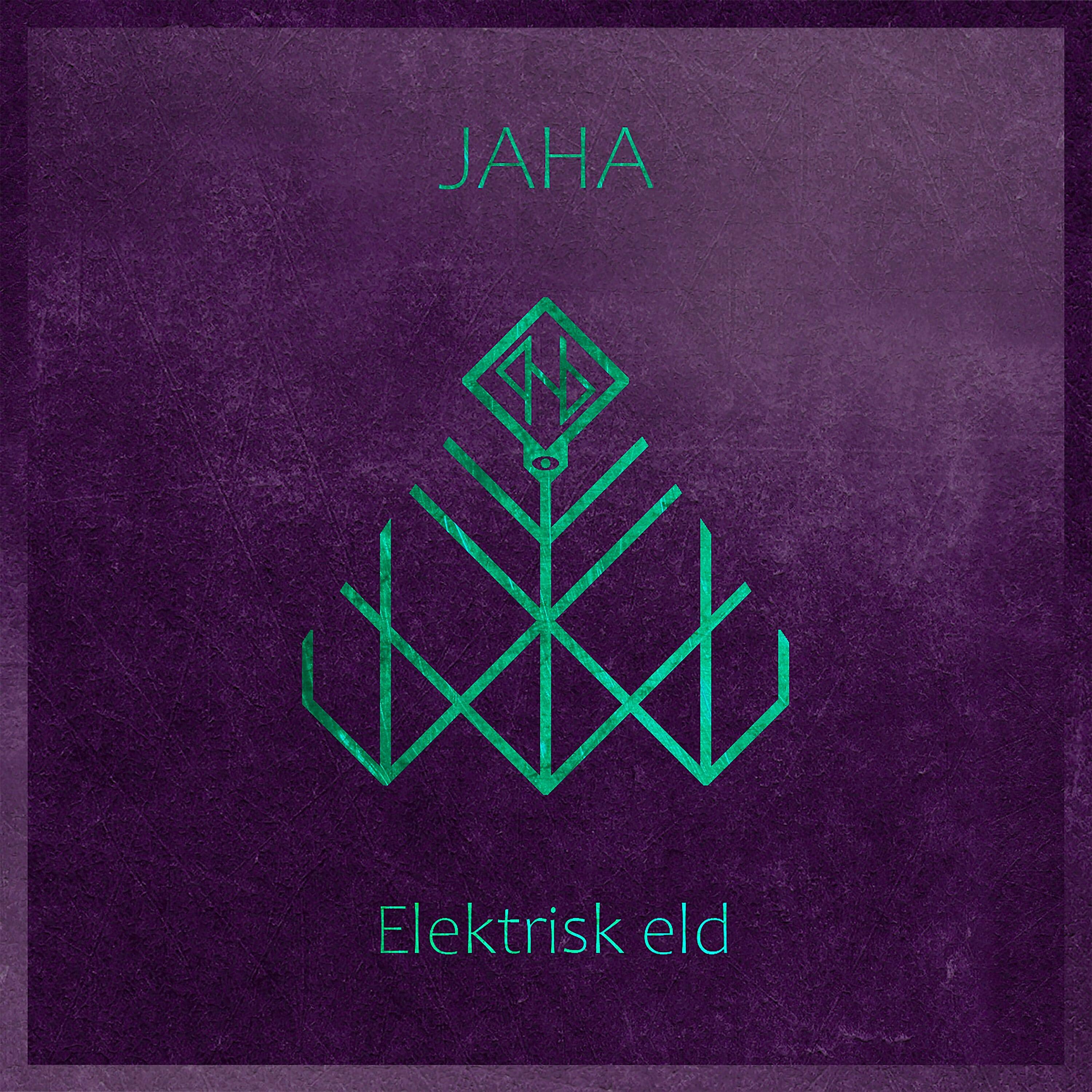 Постер альбома Elektrisk Eld
