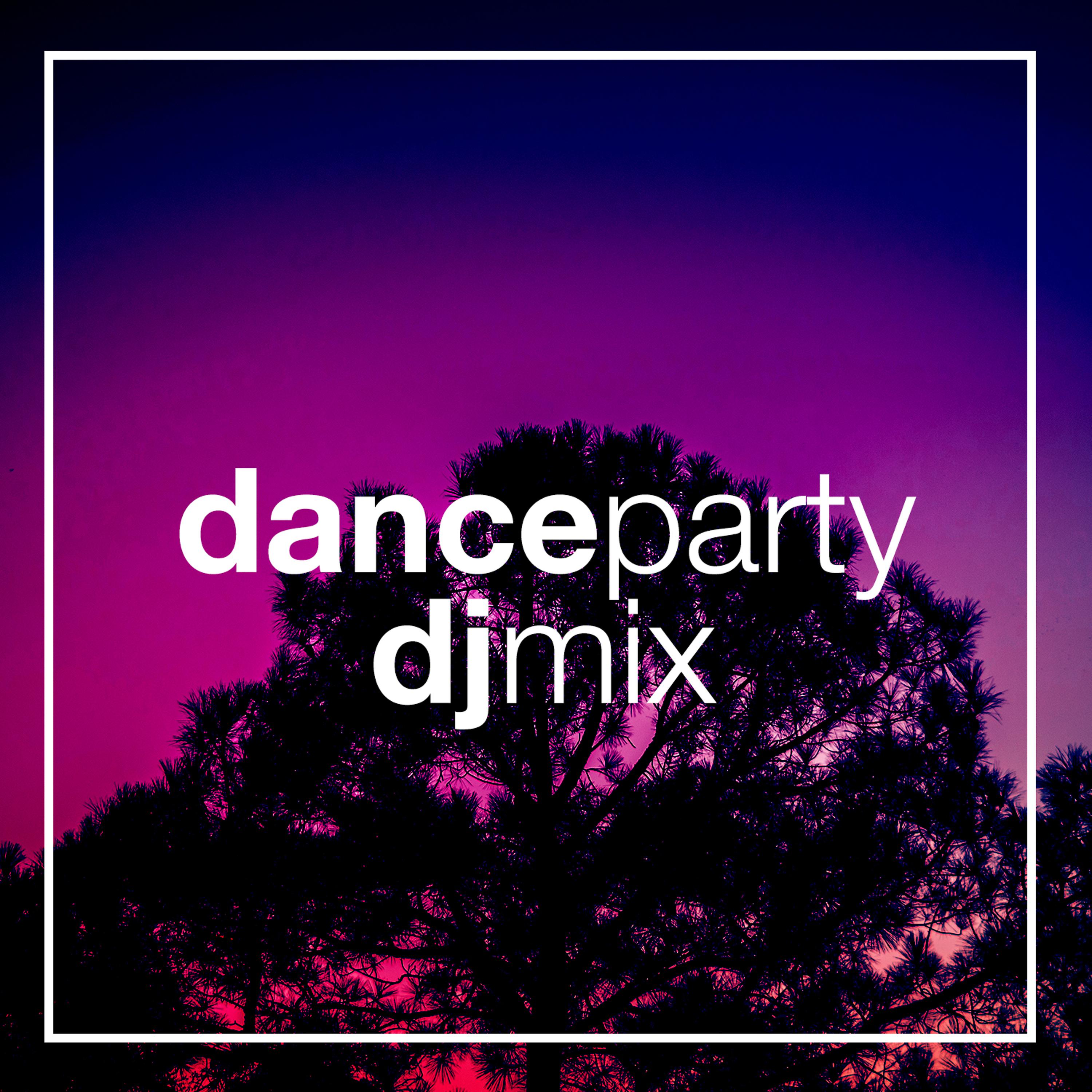 Постер альбома Dance Party DJ Mix