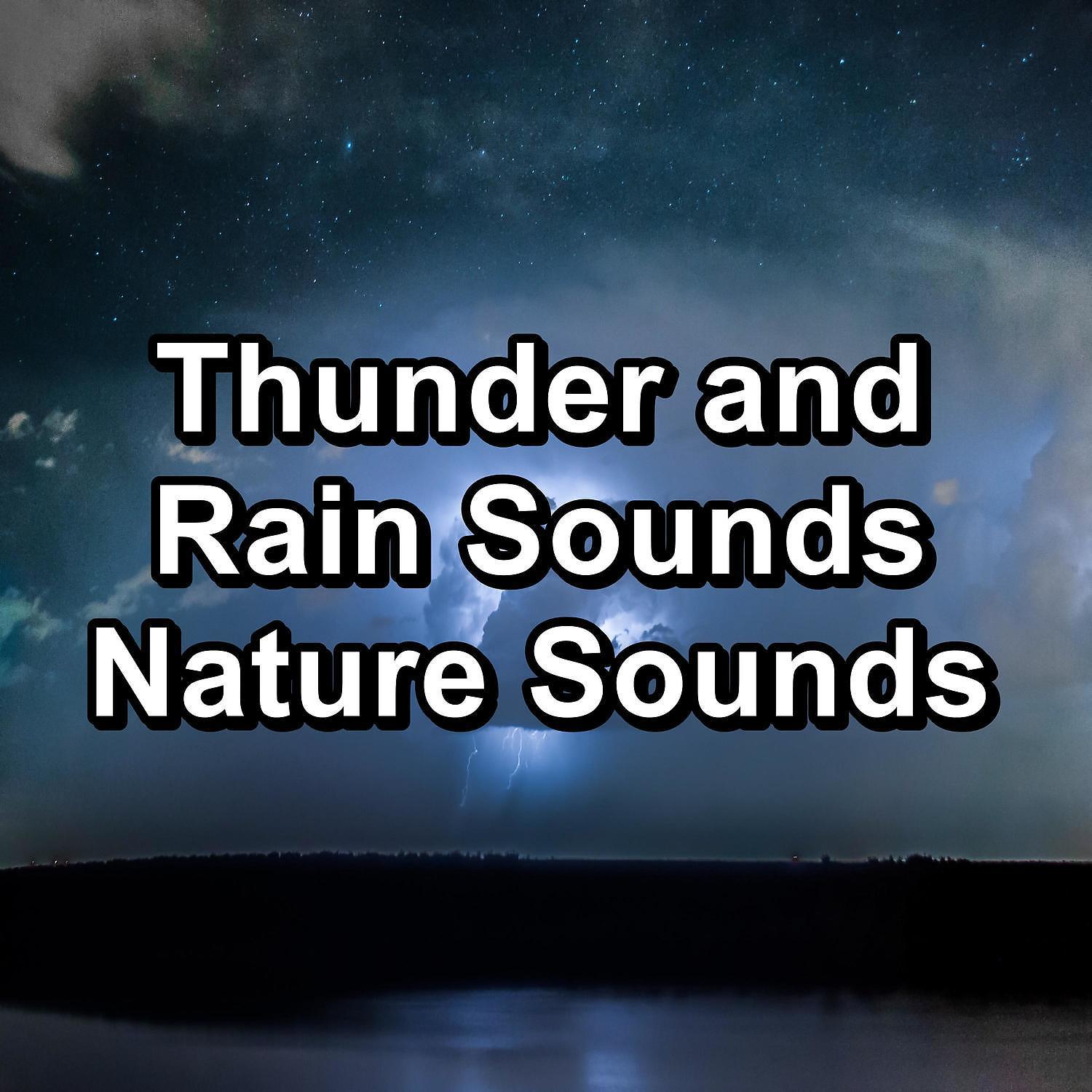 Постер альбома Thunder and Rain Sounds Nature Sounds