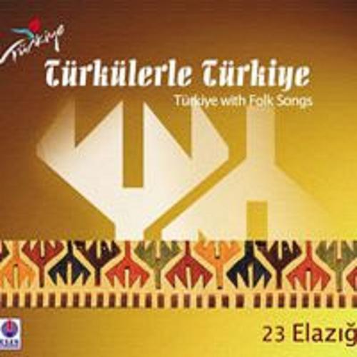 Постер альбома Türkülerle Türkiye, Vol. 23