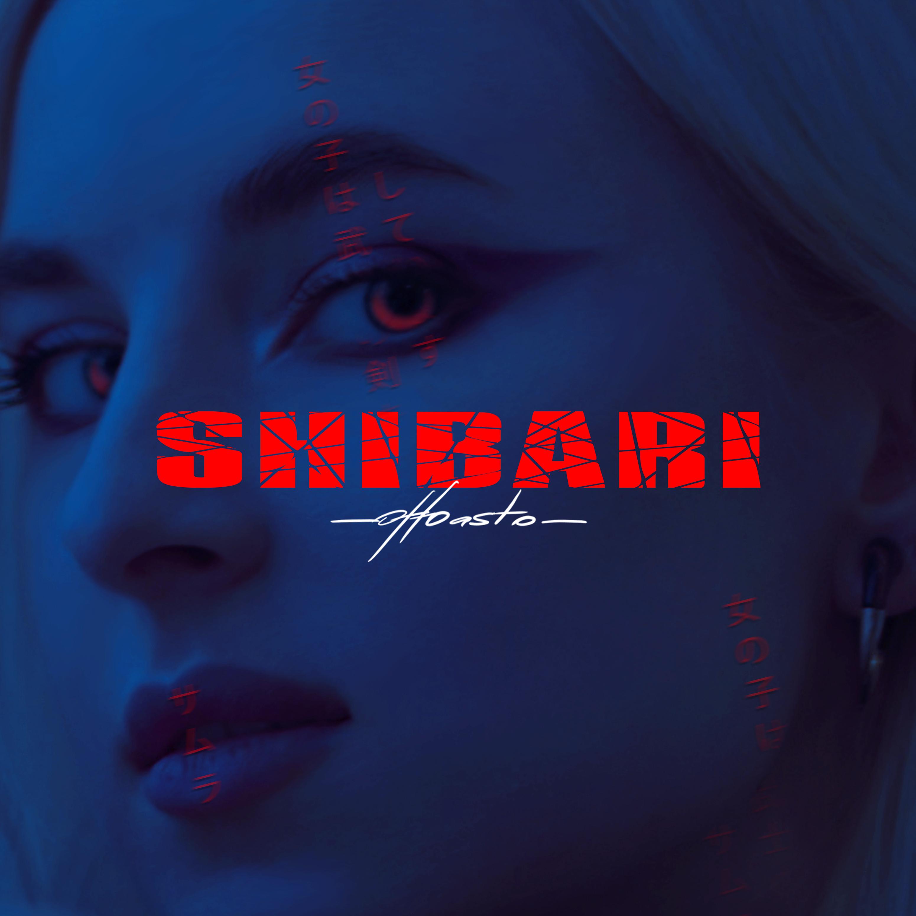 Постер альбома Shibari