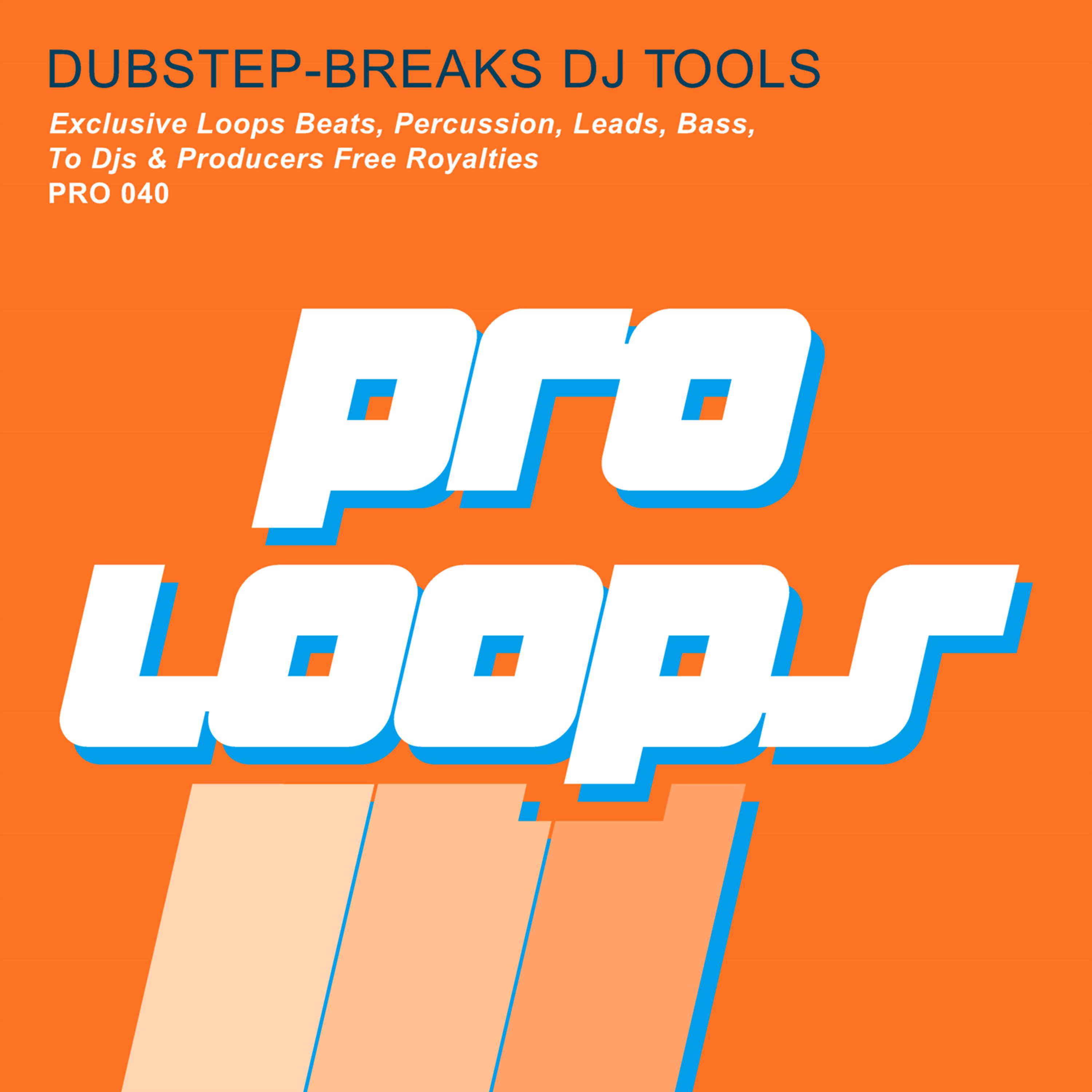 Постер альбома Dubstep Breaks DJ Tools