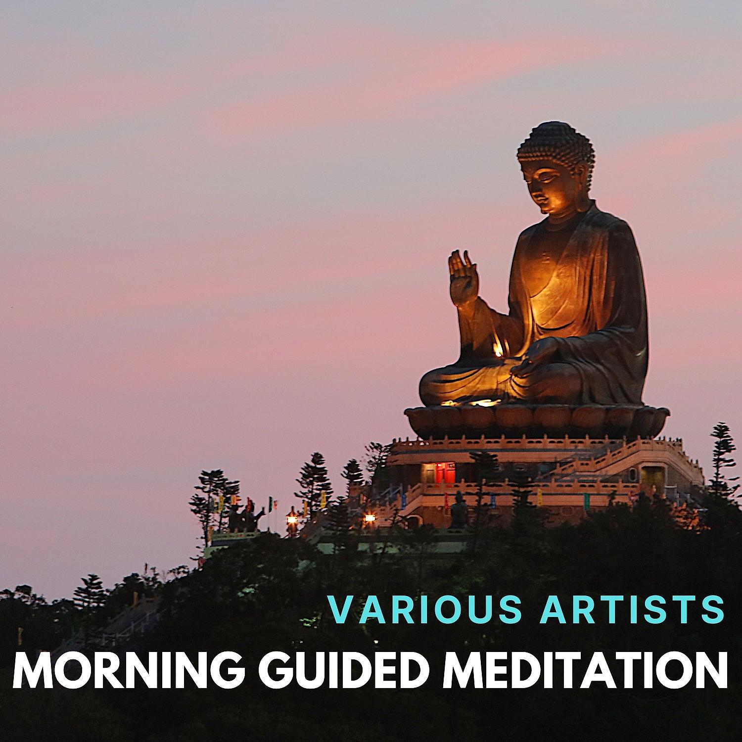 Постер альбома Morning Guided Meditation