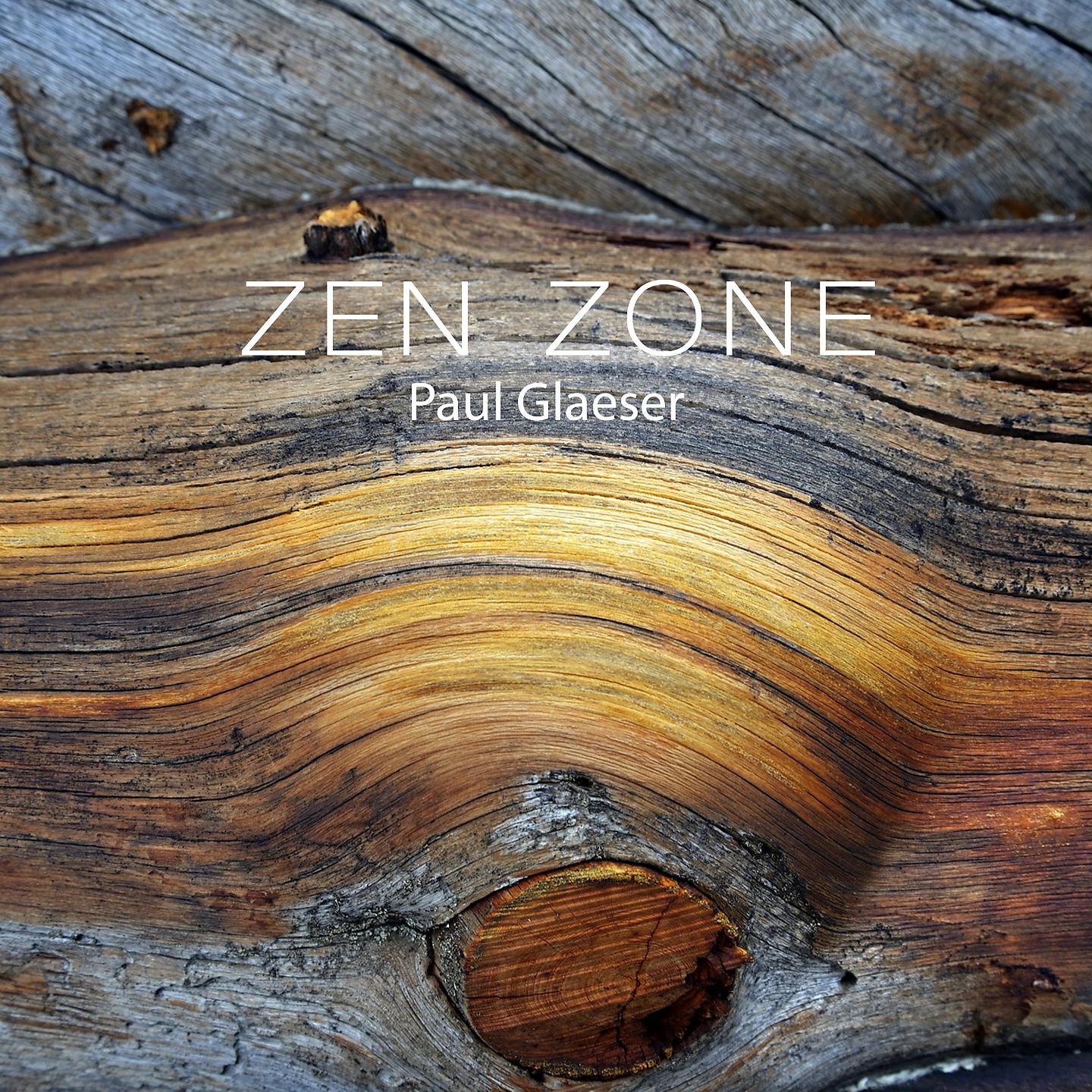 Постер альбома Zen Zone