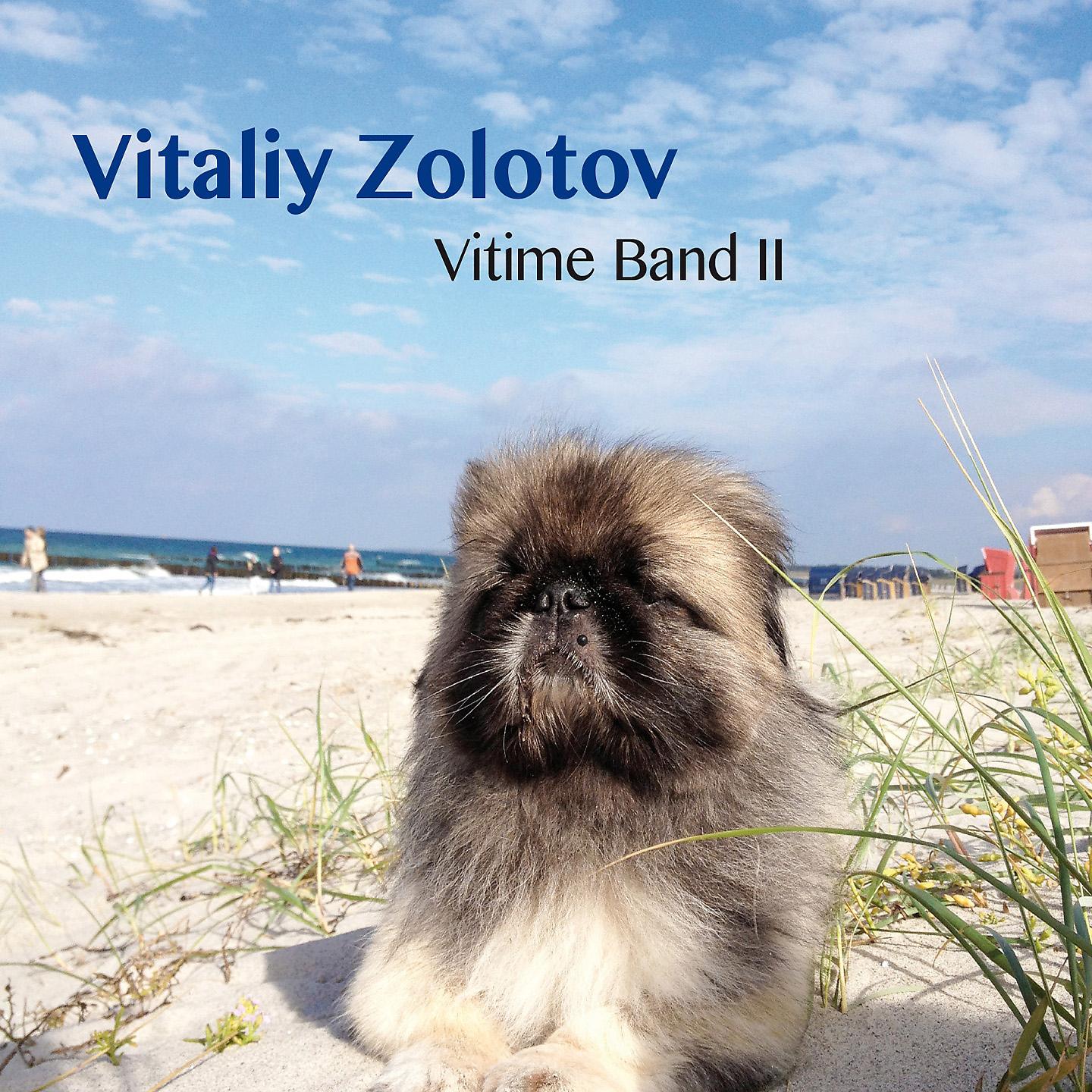 Постер альбома Vitime Band II