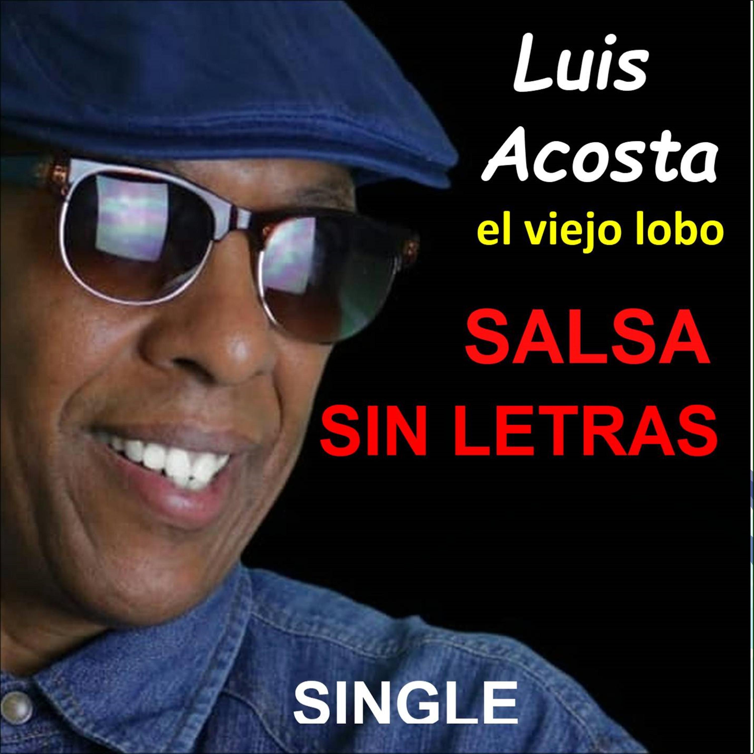 Постер альбома Salsa Sin Letras