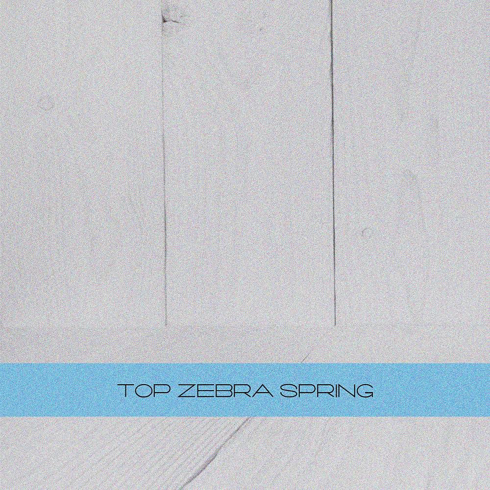 Постер альбома Top Zebra Spring