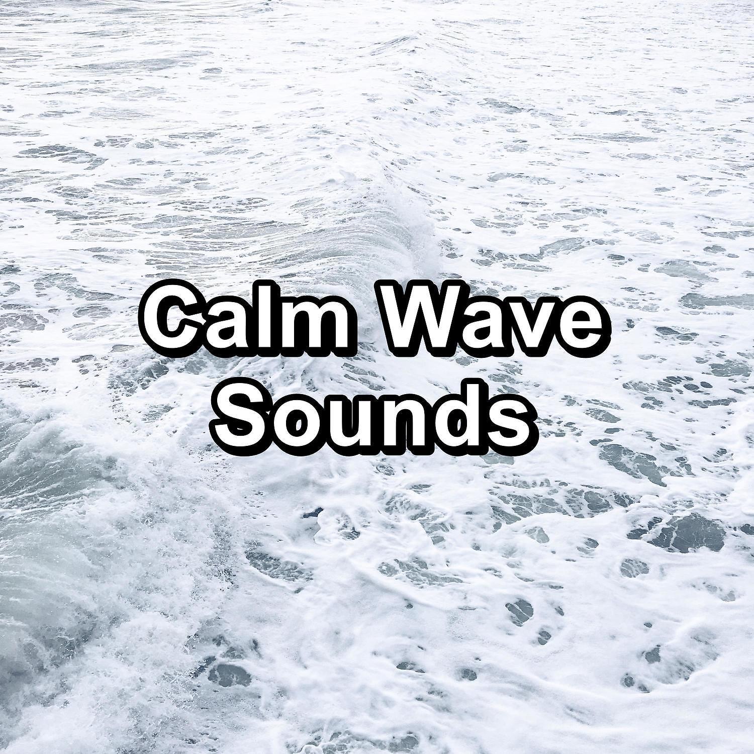 Постер альбома Calm Wave Sounds