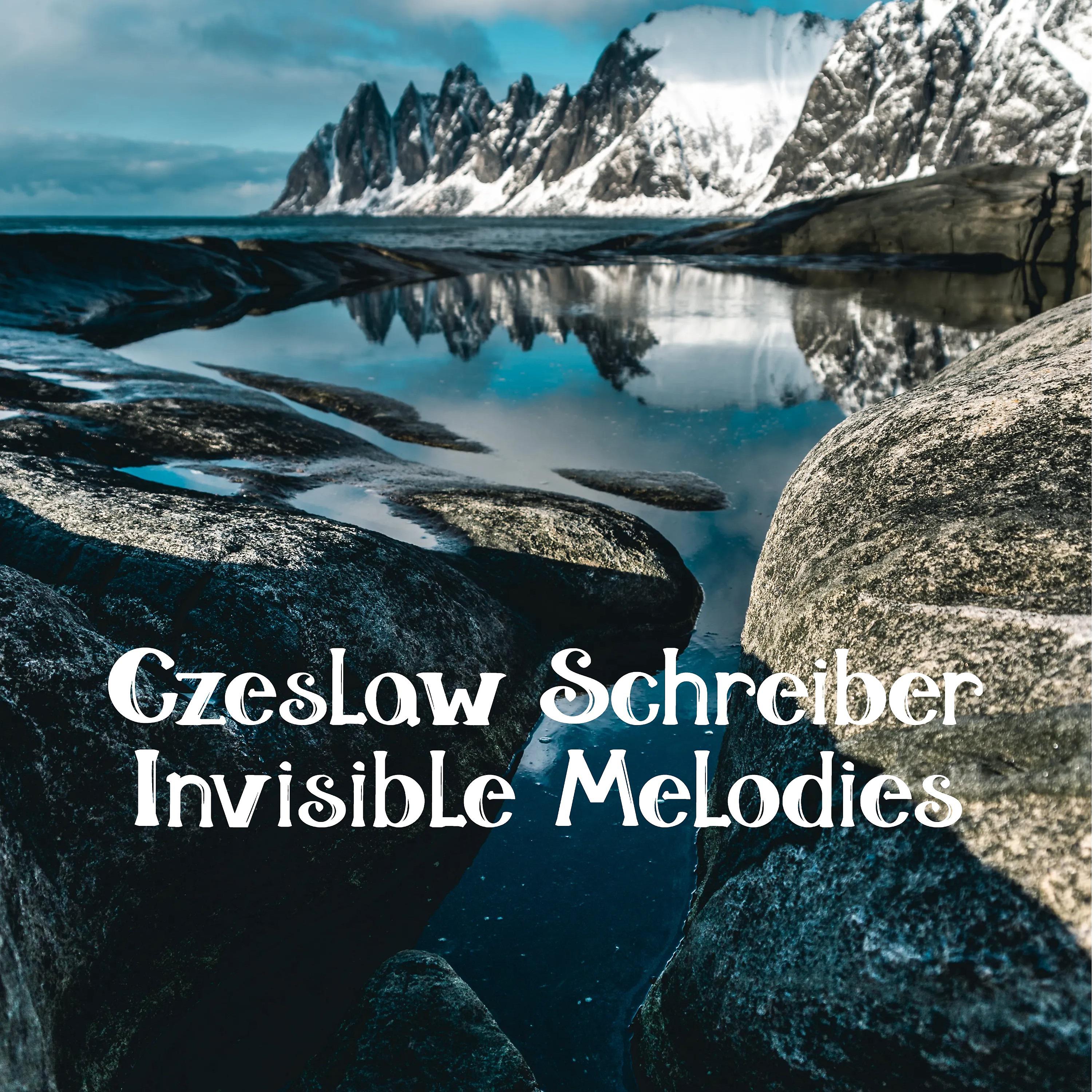 Постер альбома Invisible Melodies