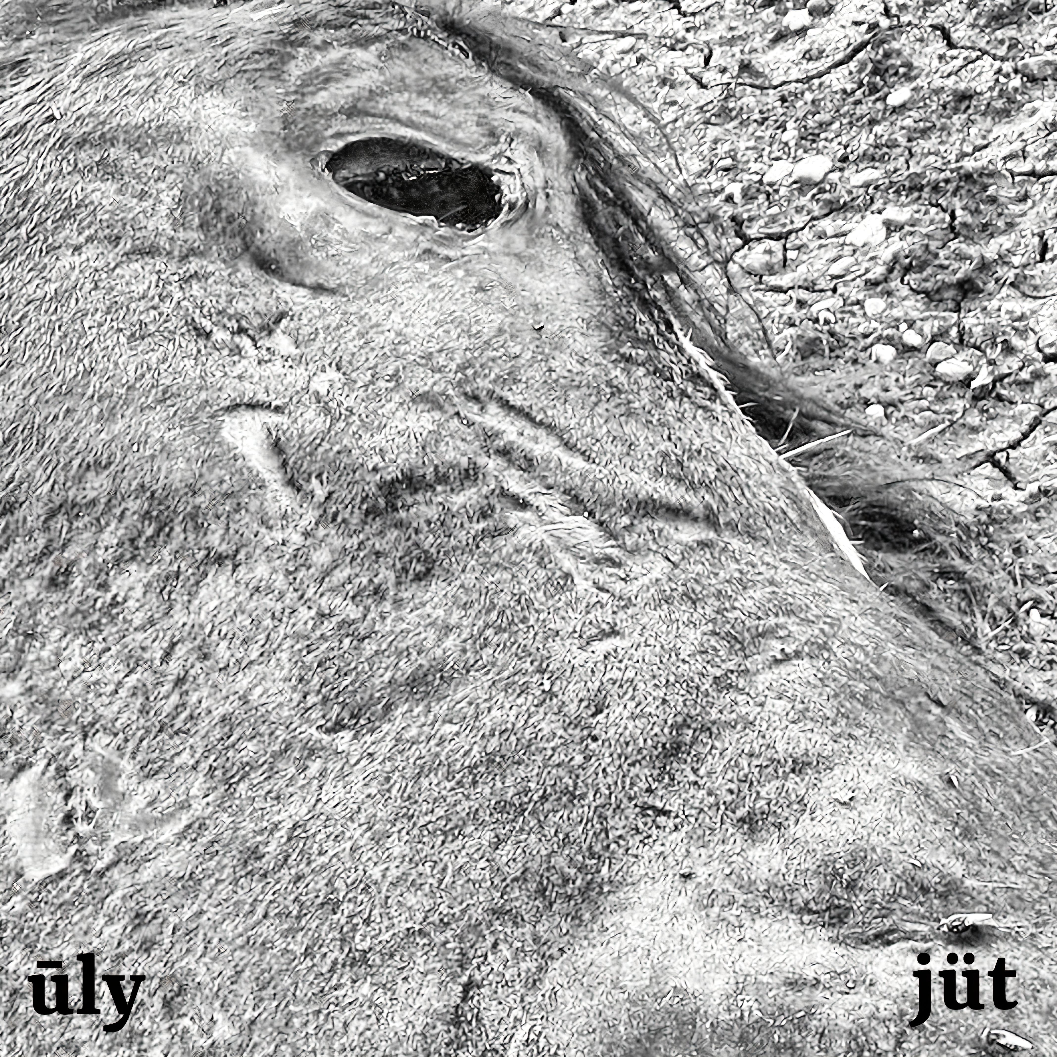 Постер альбома Ūly J​ū​t