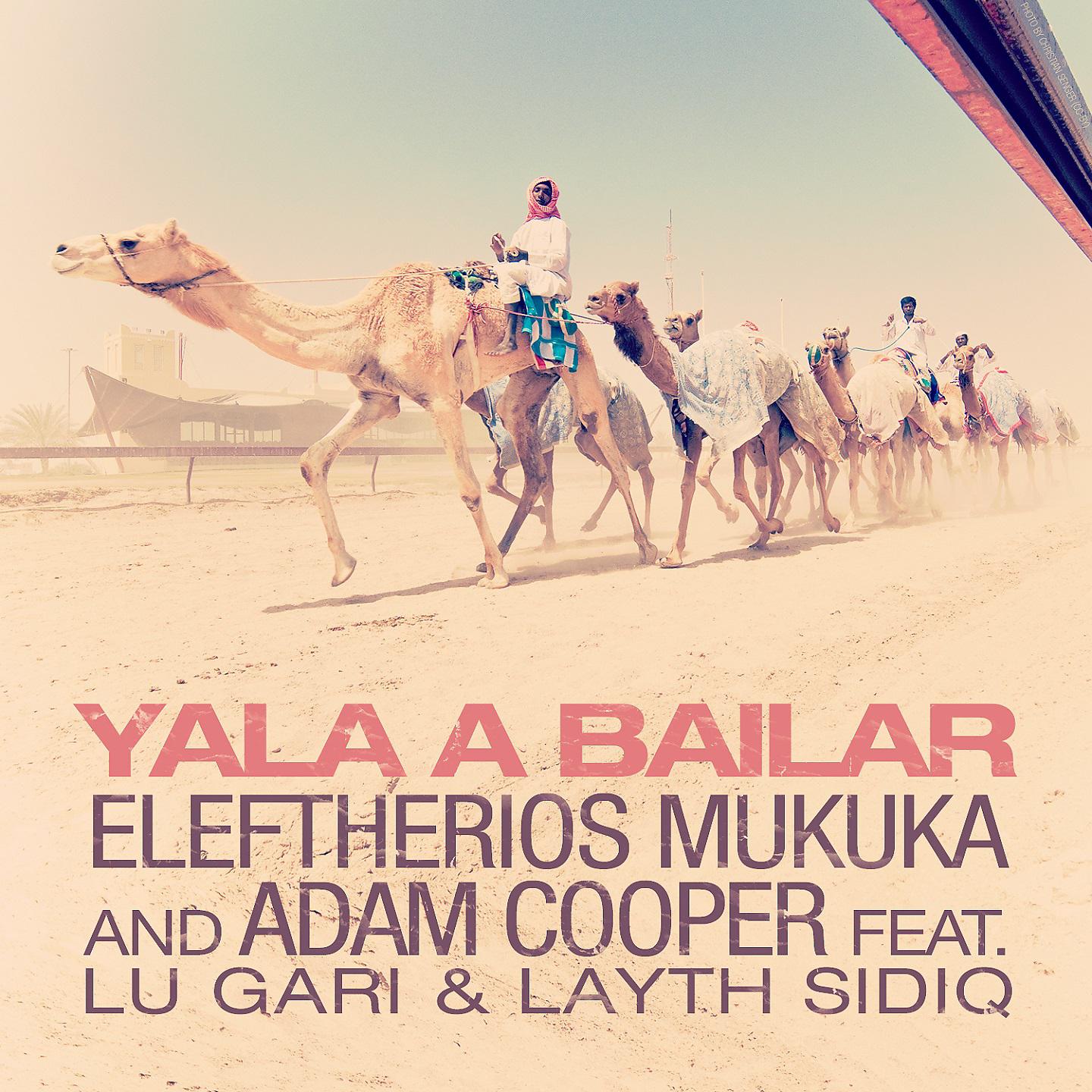 Постер альбома Yala a Bailar