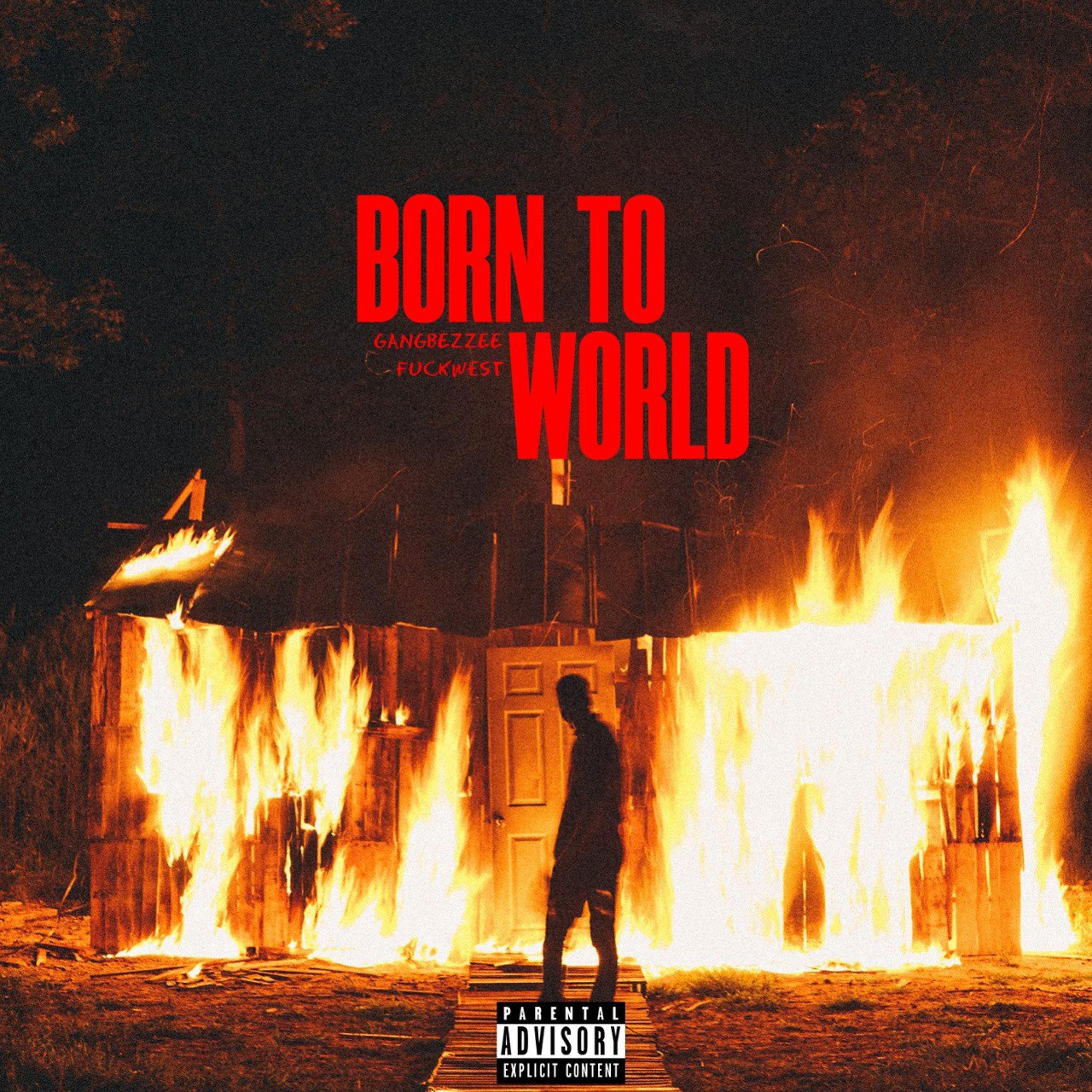 Постер альбома Born to World