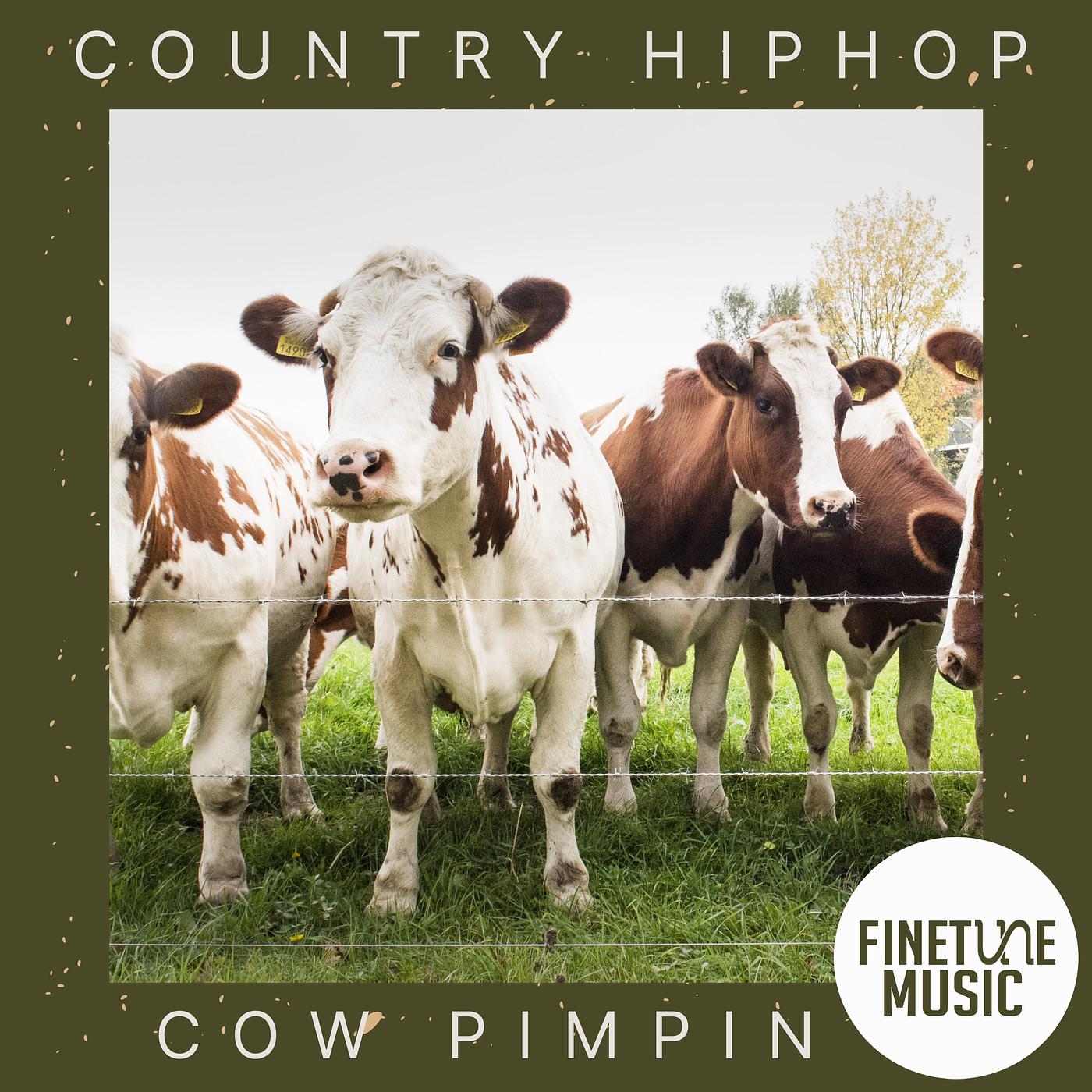 Постер альбома Country Hiphop: Cow Pimpin'