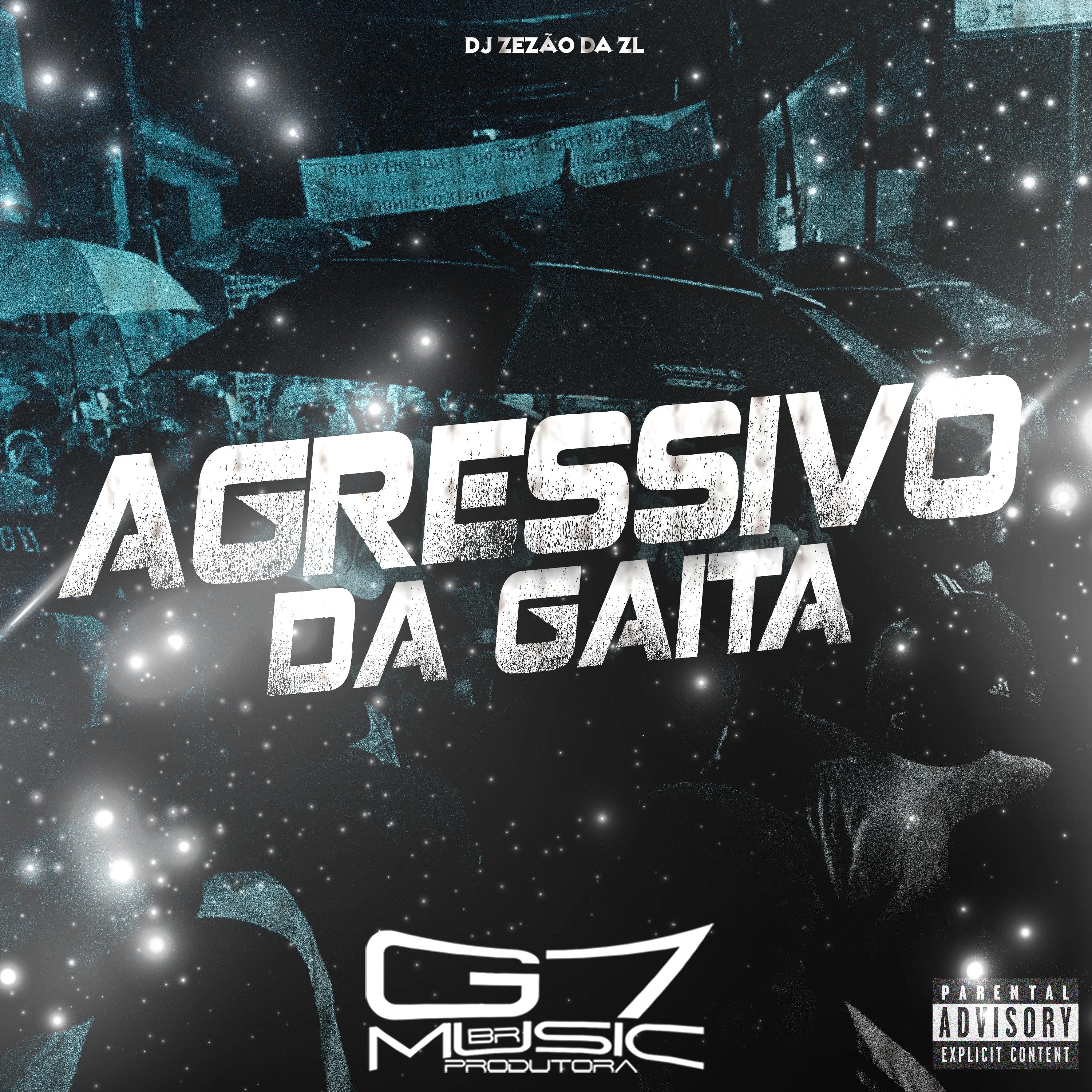 Постер альбома Agressivo da Gaita