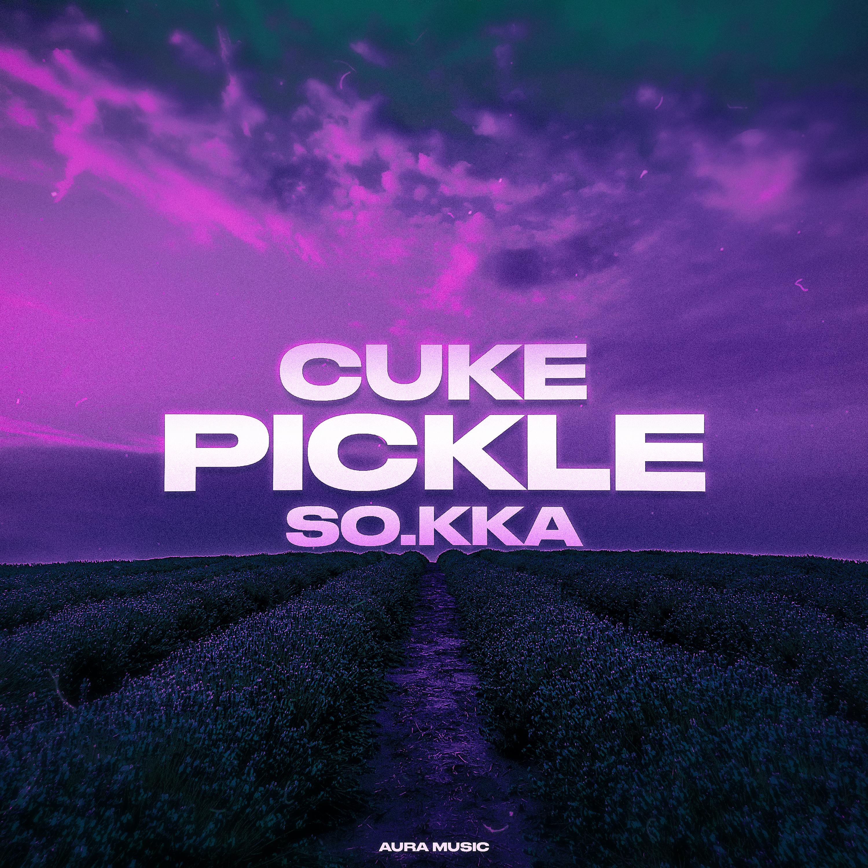 Постер альбома Pickle