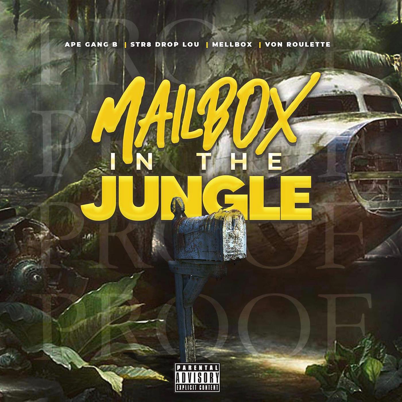 Постер альбома Mailbox in the Jungle