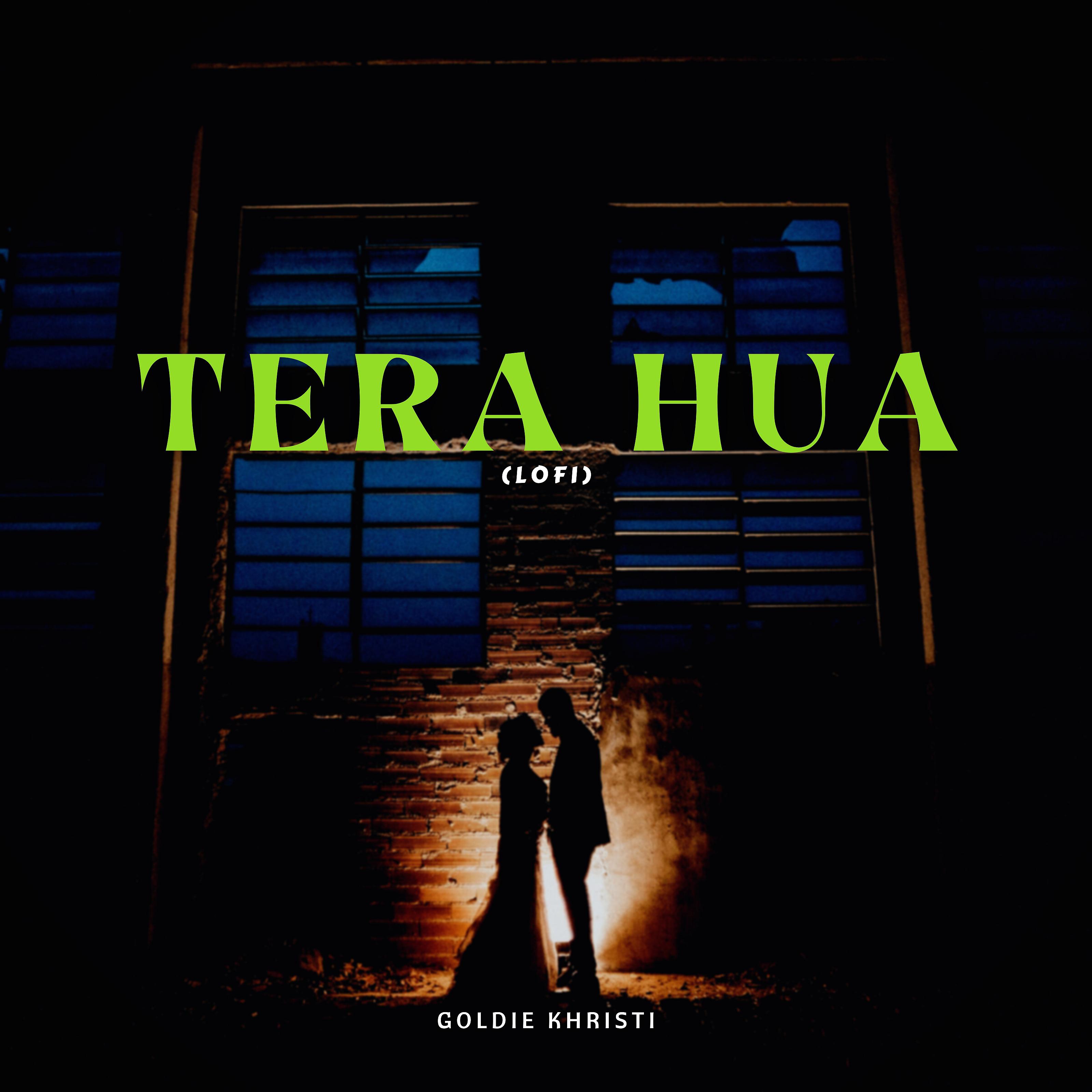 Постер альбома Tera Hua (Lofi)