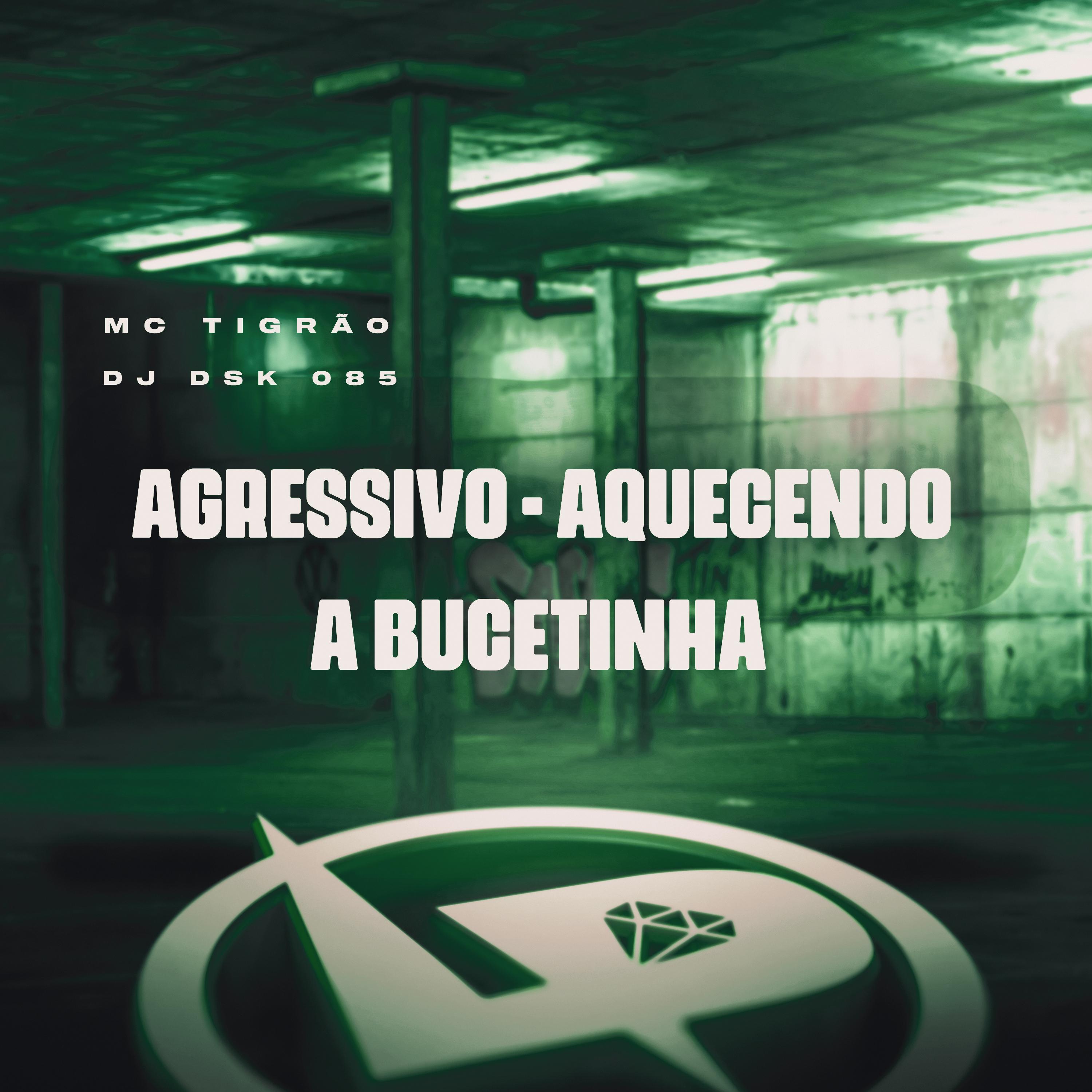 Постер альбома Agressivo - Aquecendo a Bucetinha