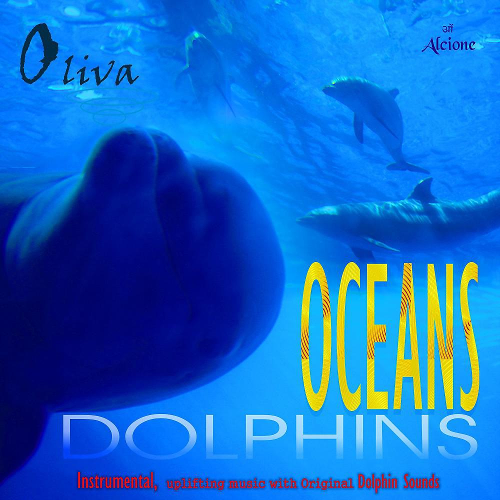 Постер альбома Oceans Dolphins