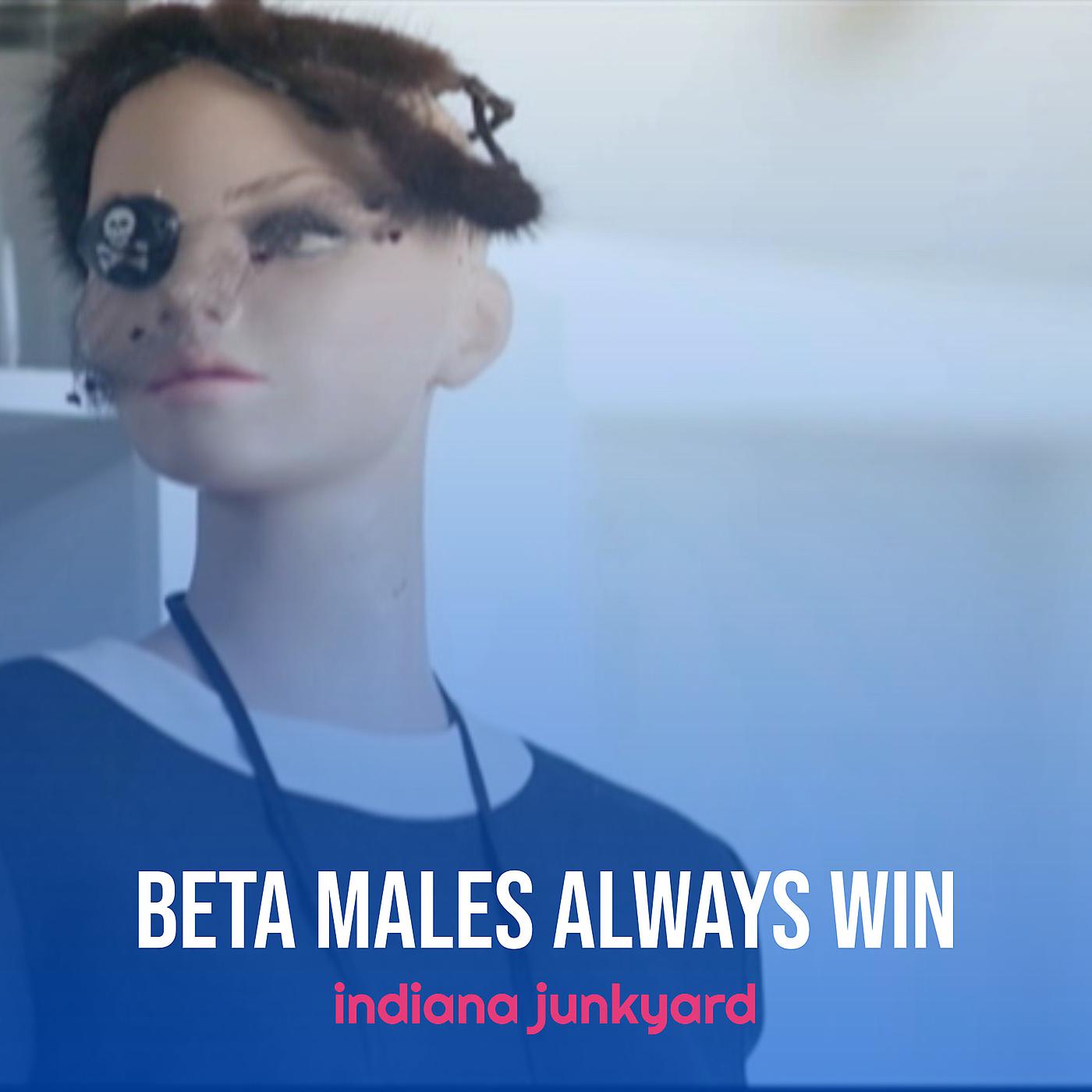 Постер альбома Beta Males Always Win