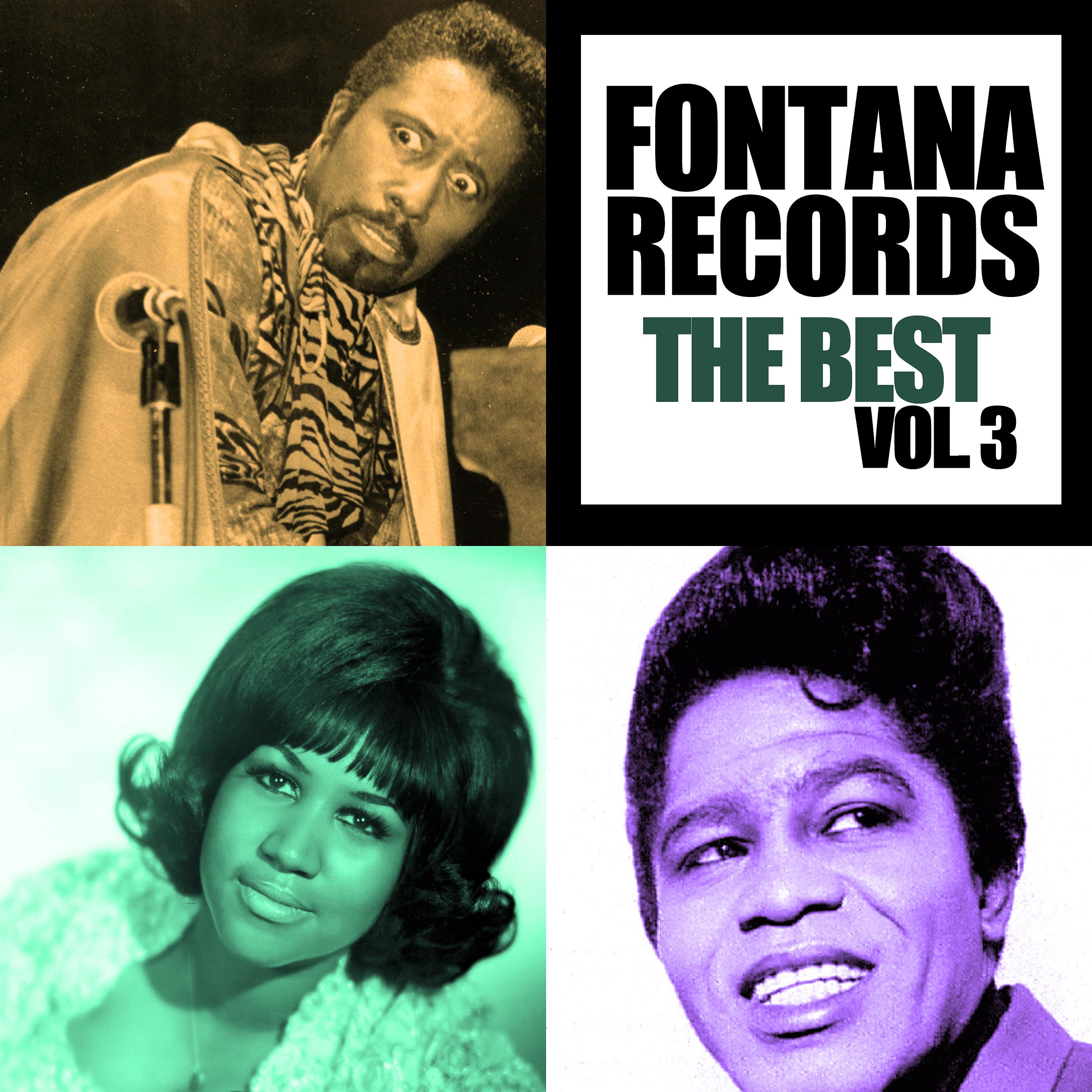 Постер альбома Fontana Records: The Best, Vol. 3