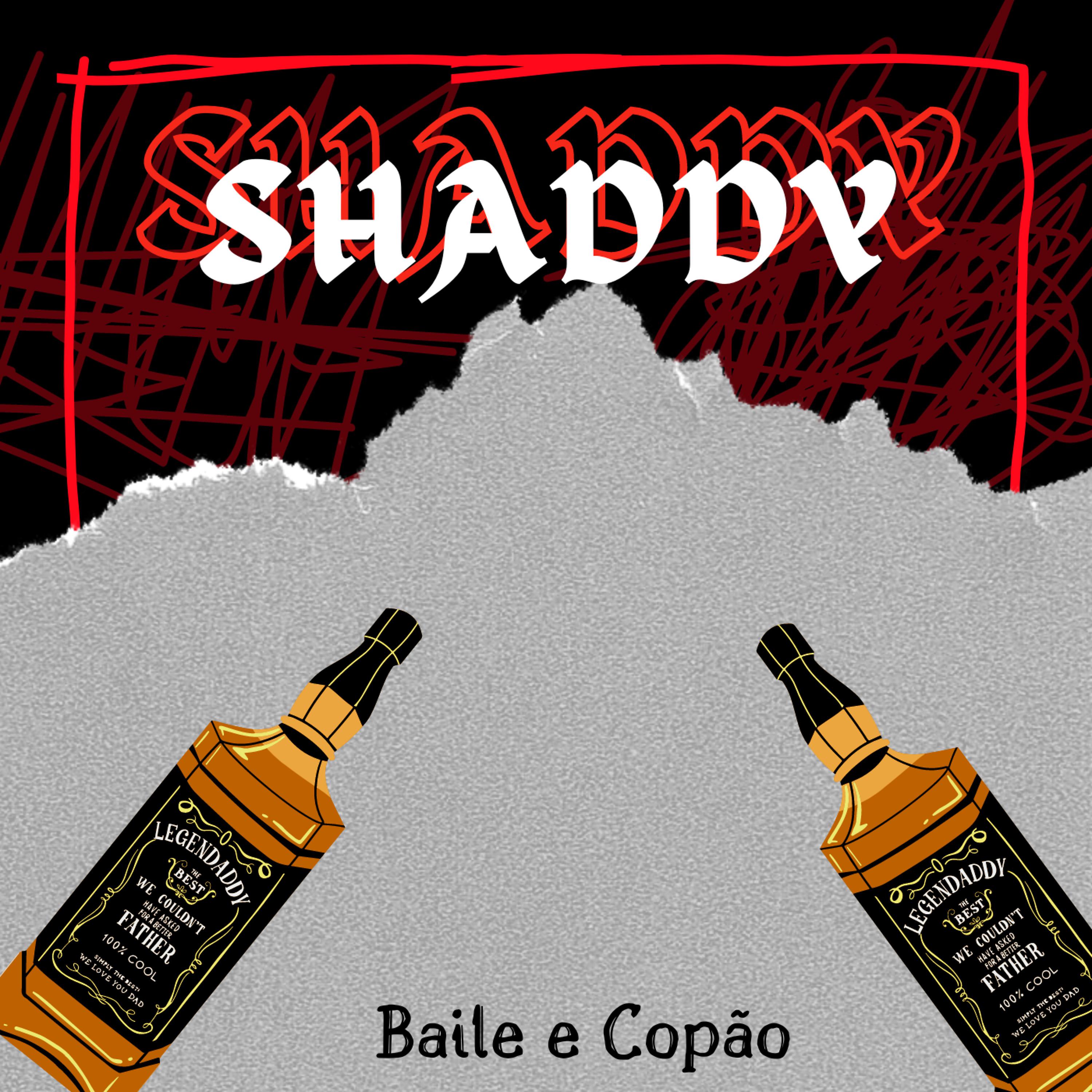 Постер альбома Baile e Copão