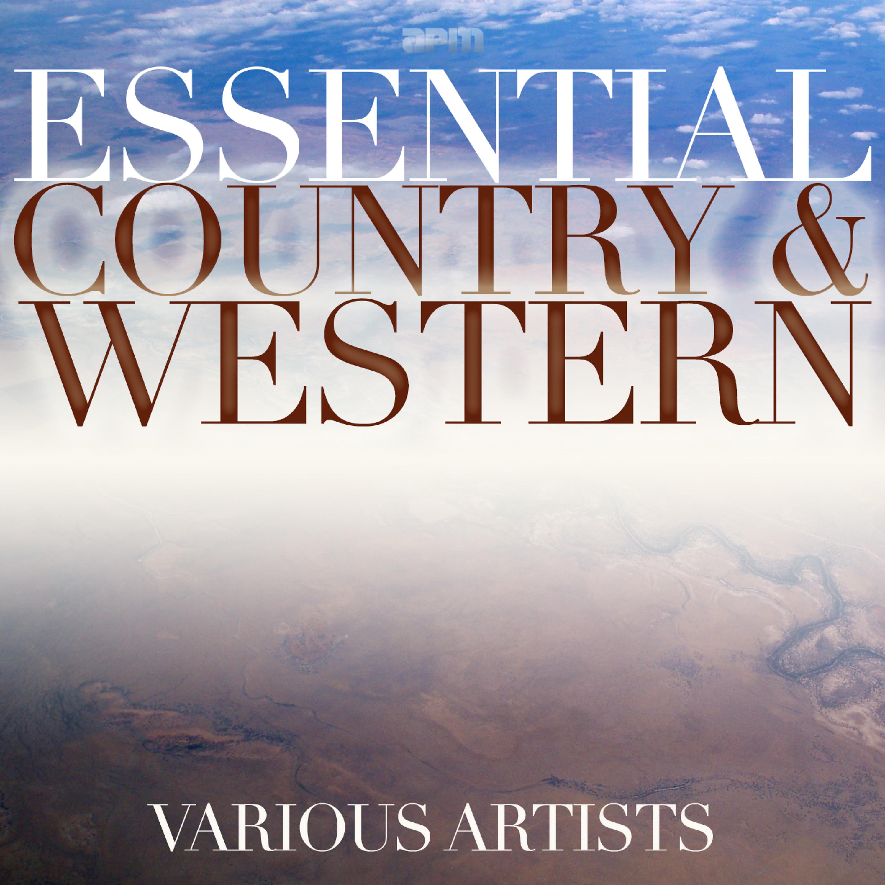 Постер альбома Essential Country & Western