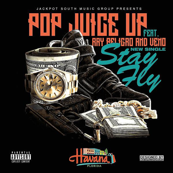 Постер альбома Stay Fly