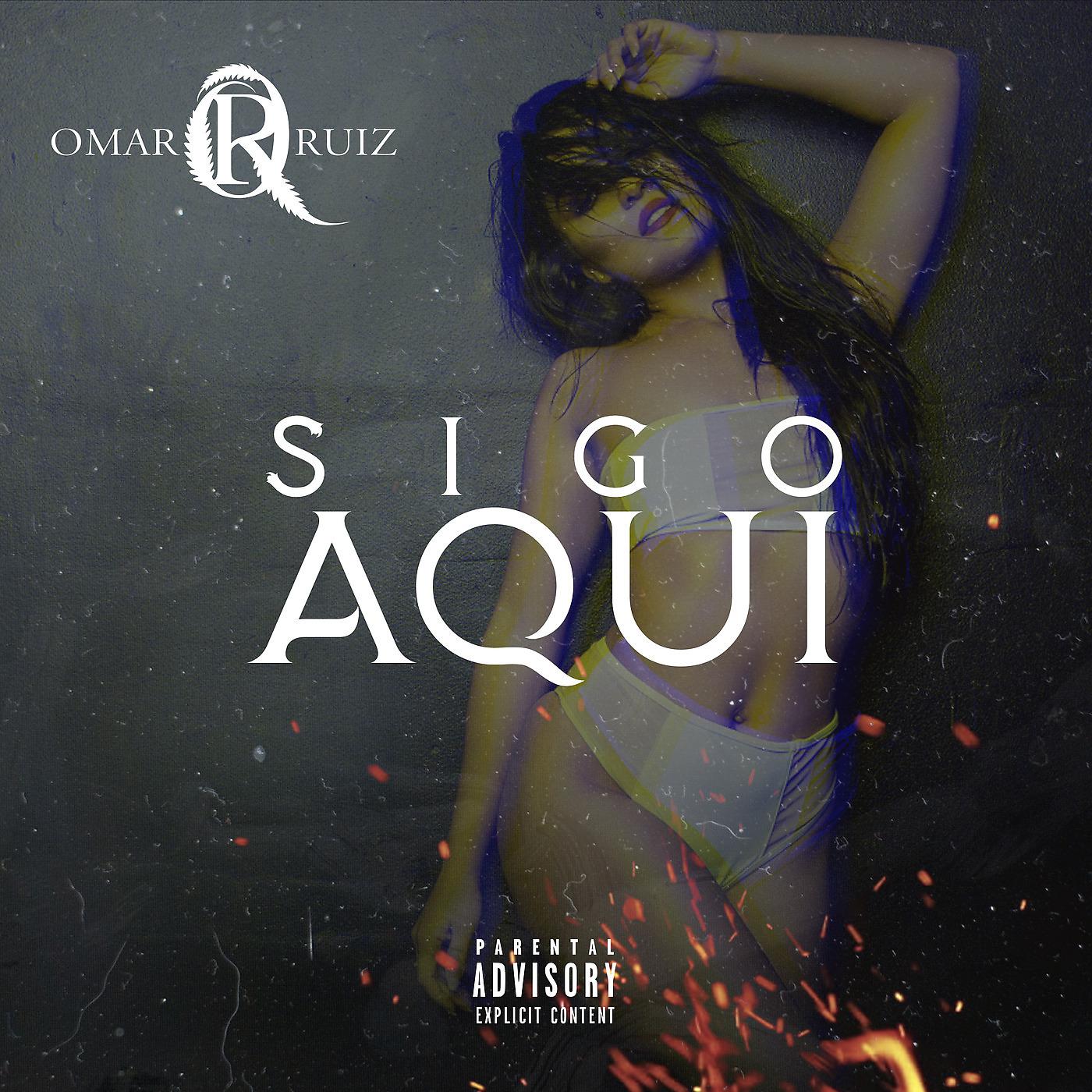 Постер альбома Sigo Aqui