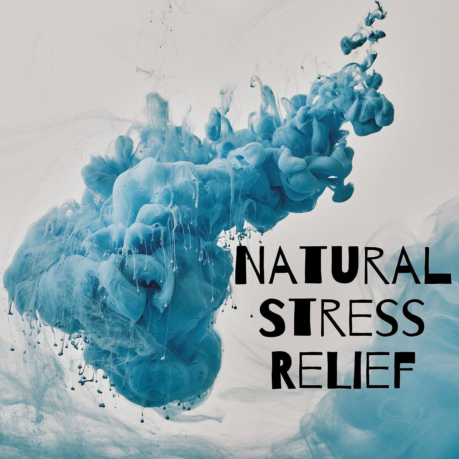 Постер альбома Natural Stress Relief – Keep Calm, Healing Atmosphere, Control Your Emotions, Relaxation Meditation