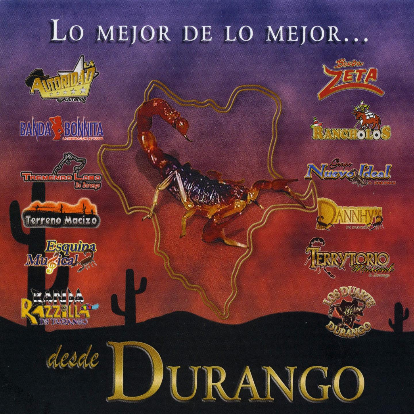 Постер альбома Lo Mejor de Lo Mejor Desde Durango