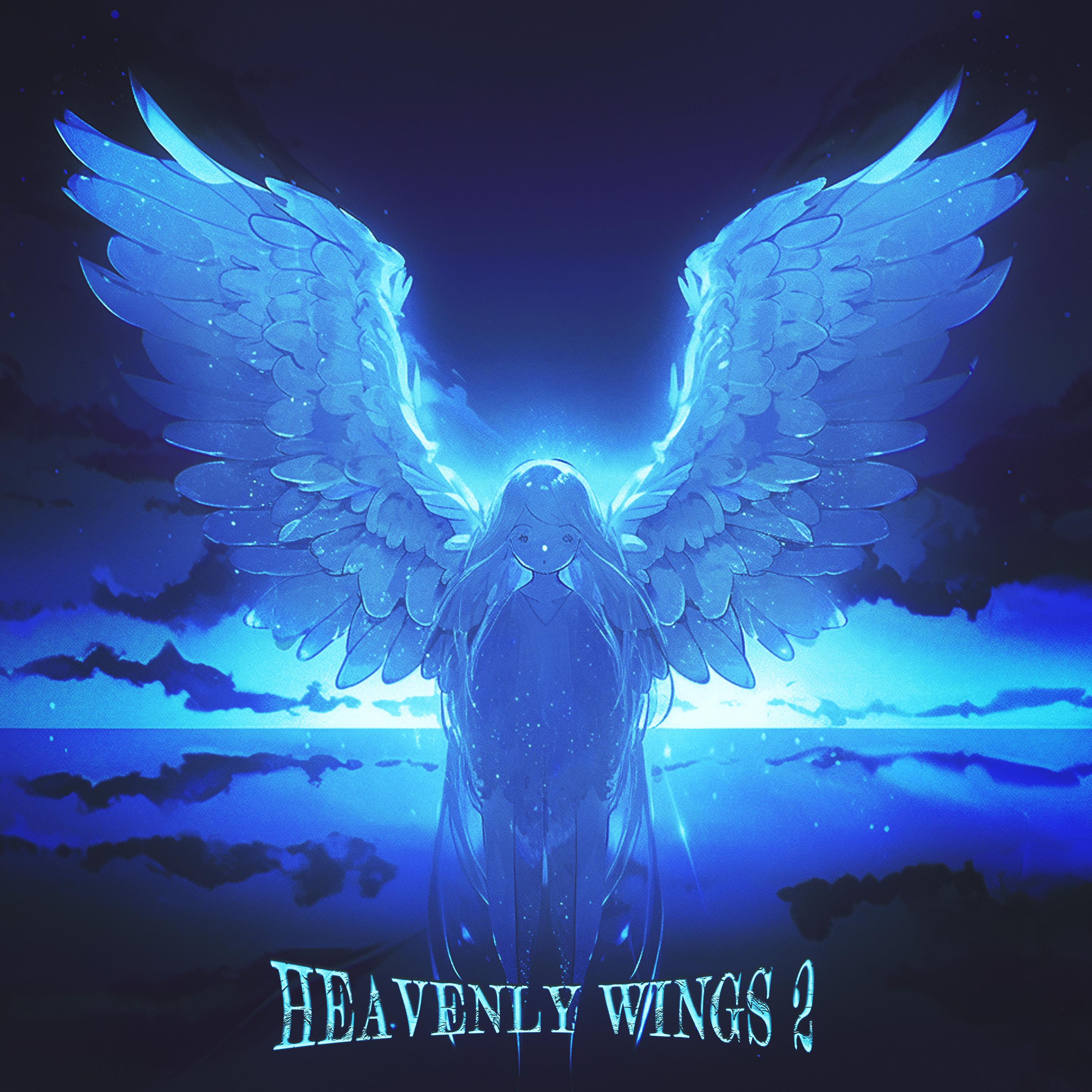 Постер альбома Heavenly wings 2
