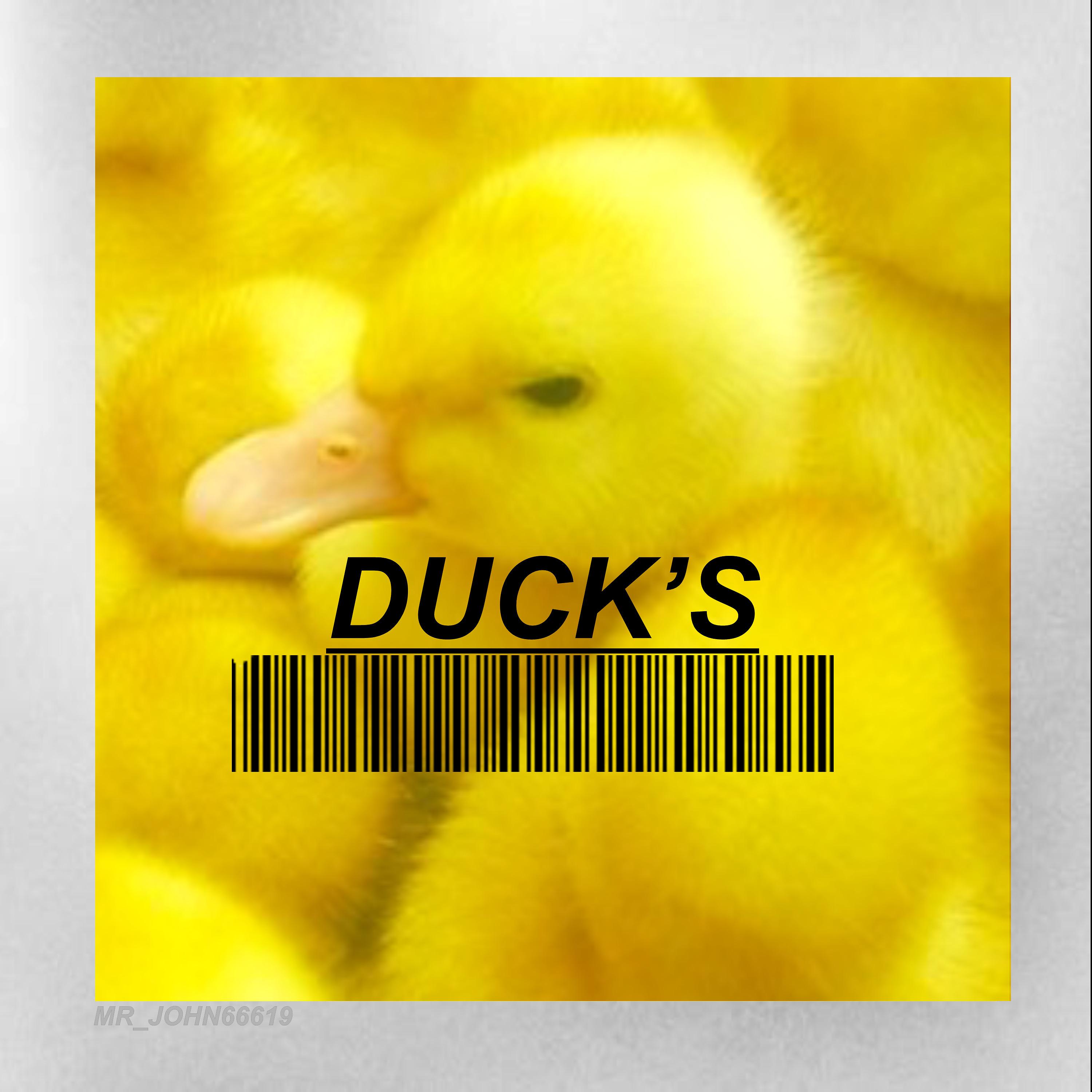 Постер альбома Duck's
