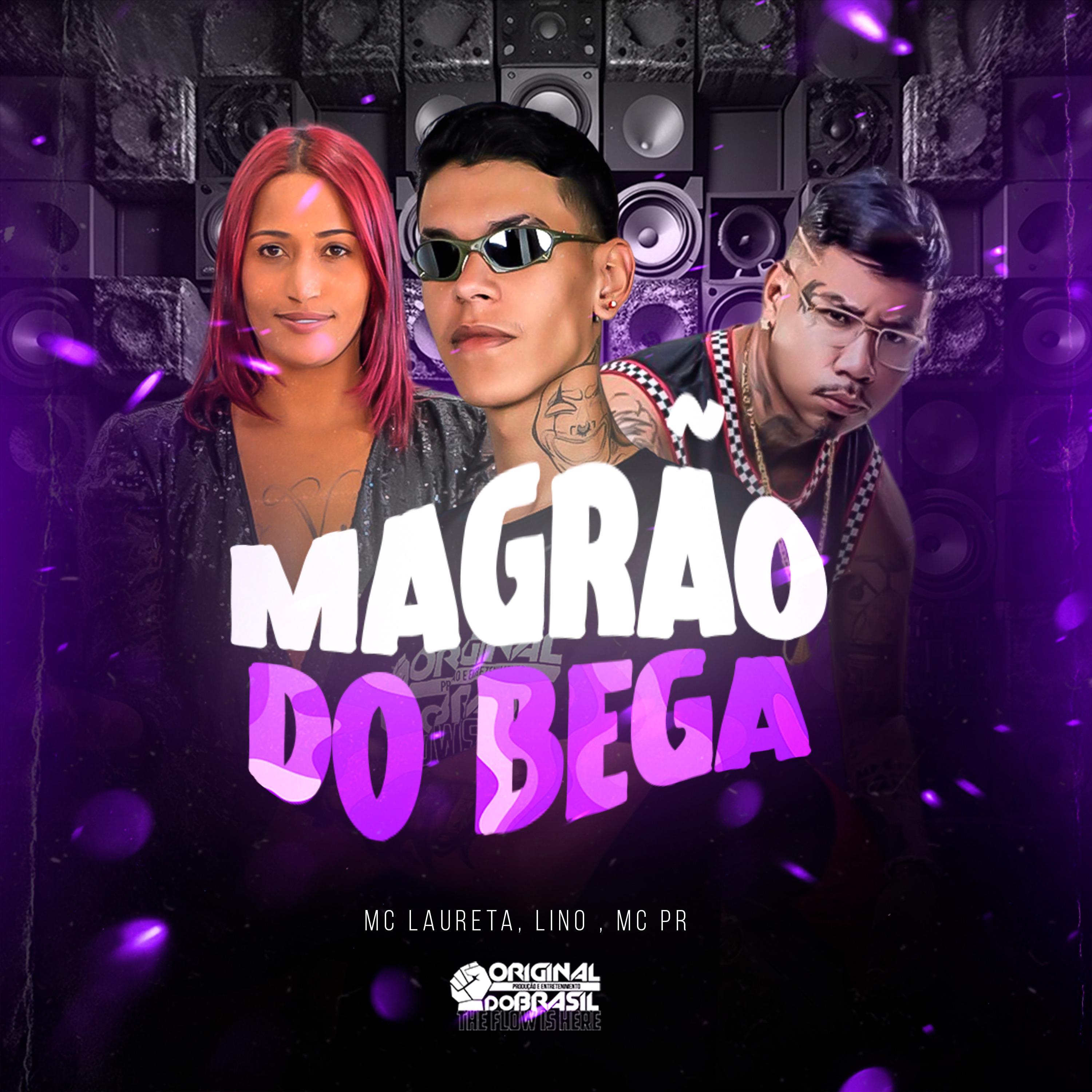 Постер альбома Magrão do Bega