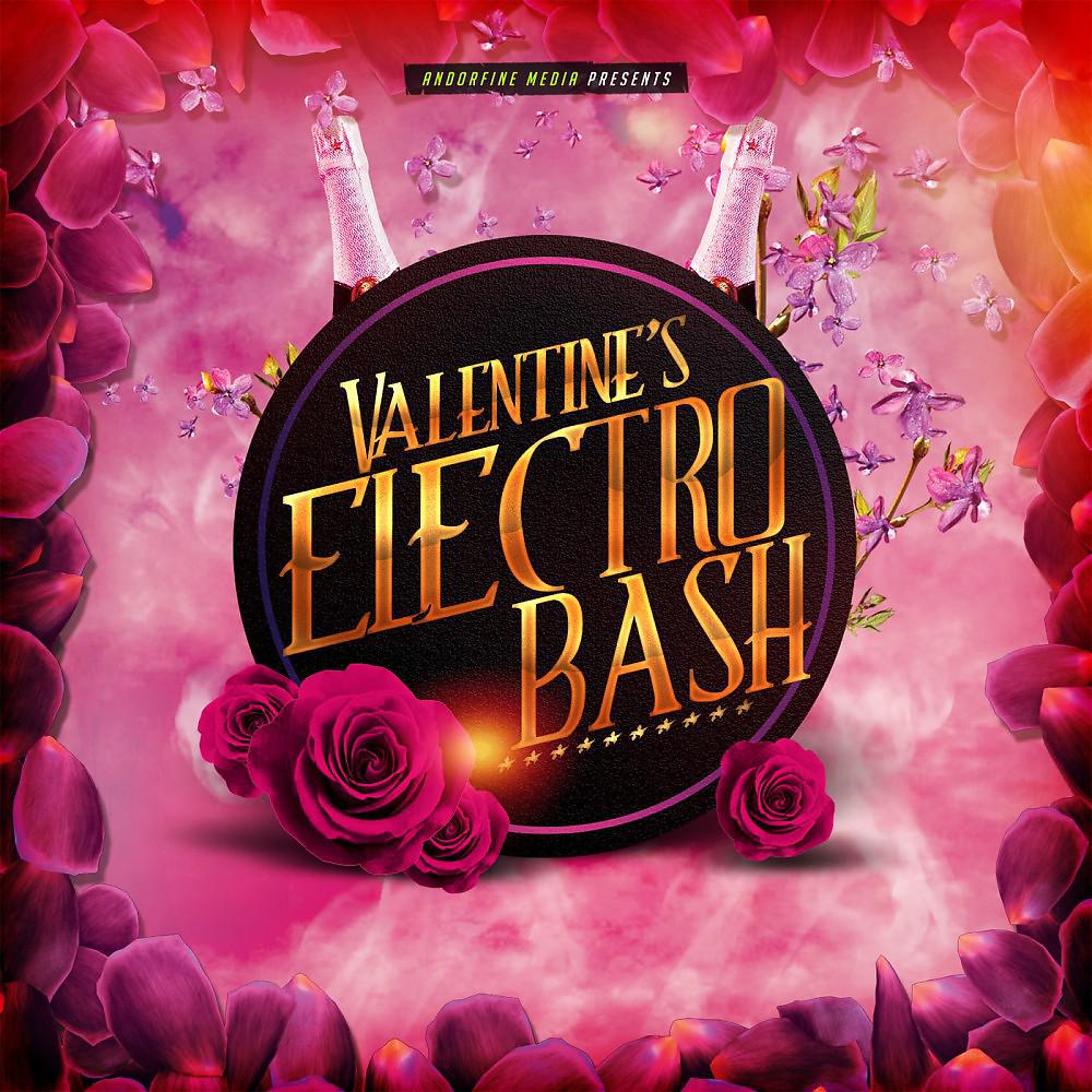 Постер альбома Valentine's Electro Bash