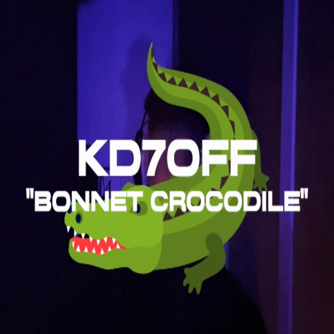 Постер альбома Bonnet Crocodile
