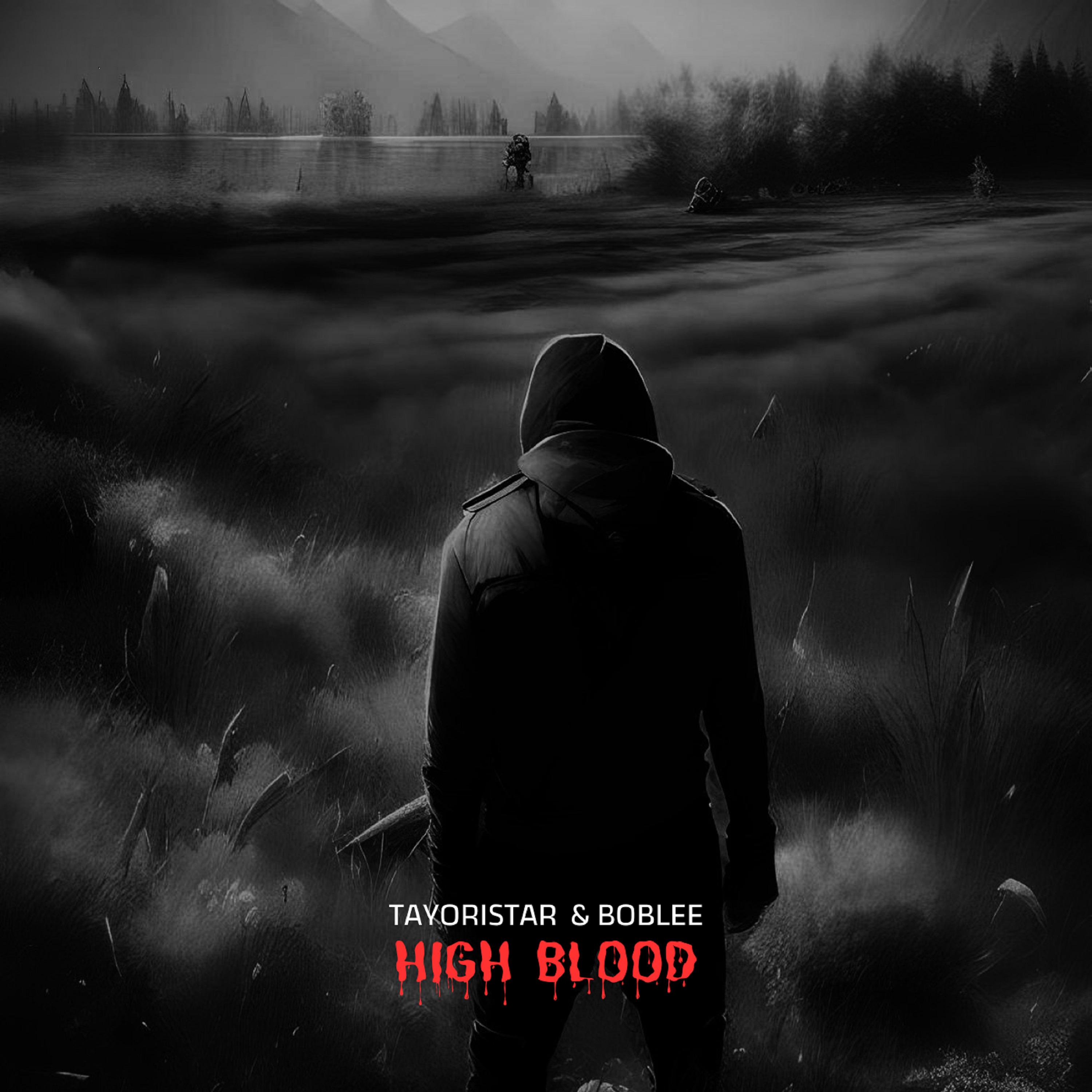 Постер альбома High Blood