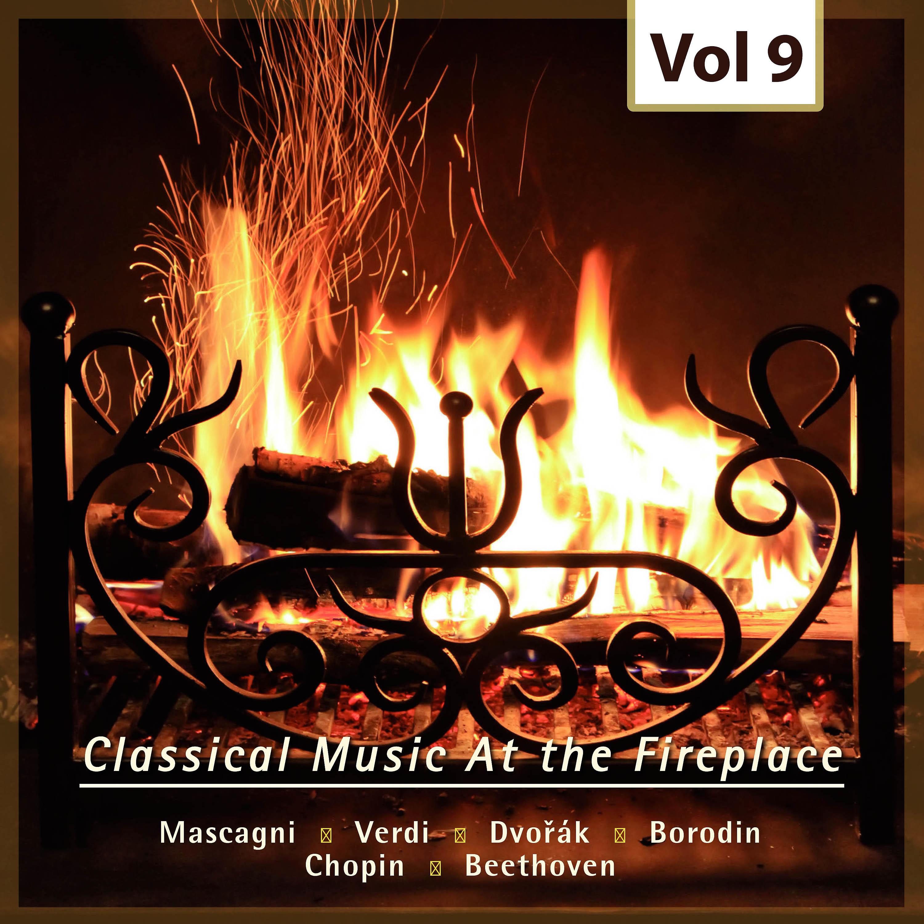 Постер альбома Classical Music at the Fireplace, Vol. 9