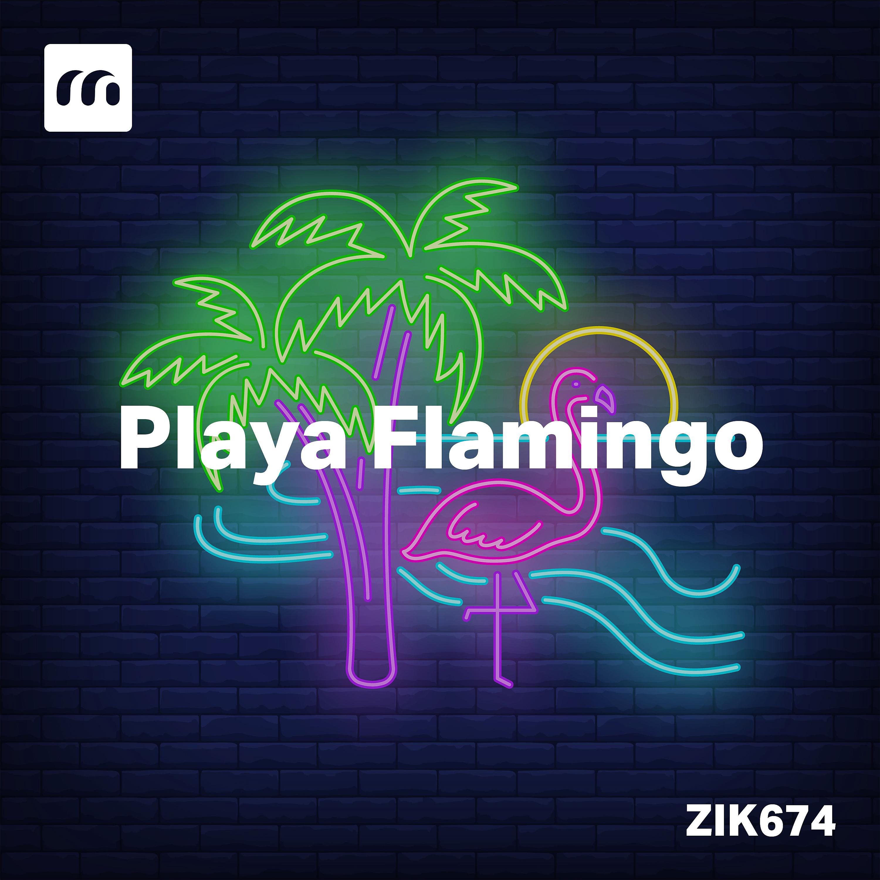 Постер альбома Playa Flamingo