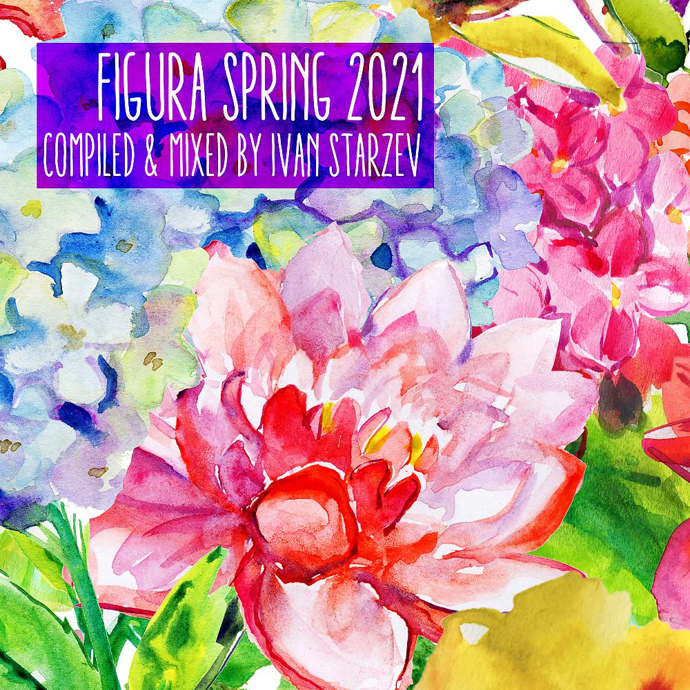 Постер альбома Figura Spring 2021
