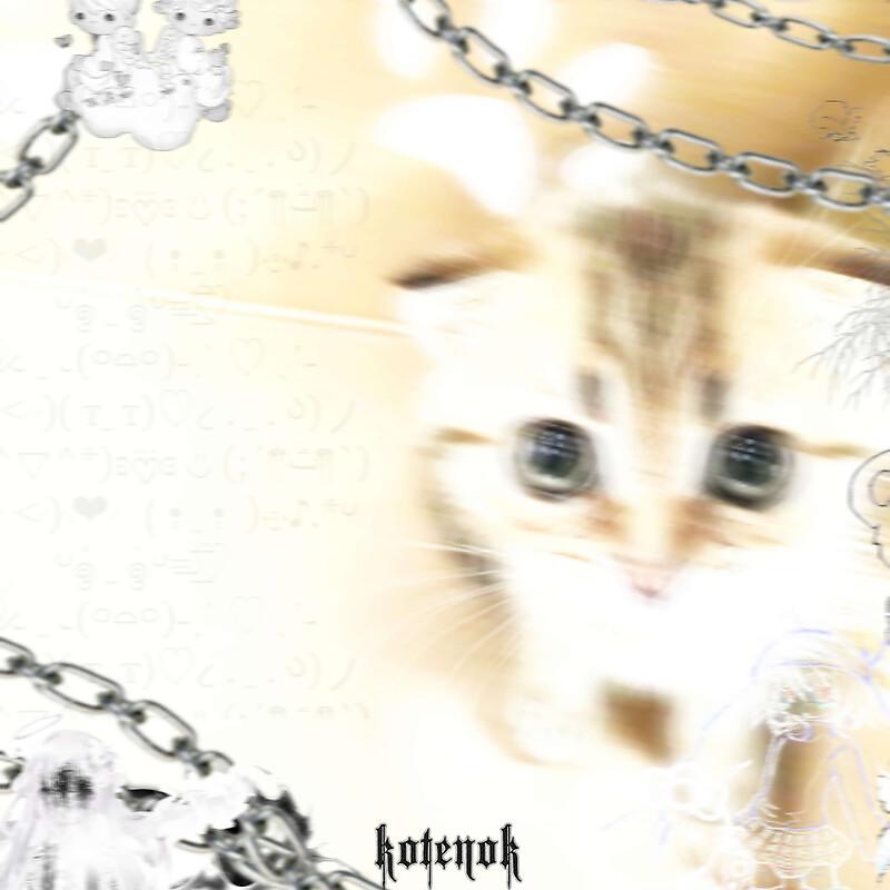 Постер альбома котёнок