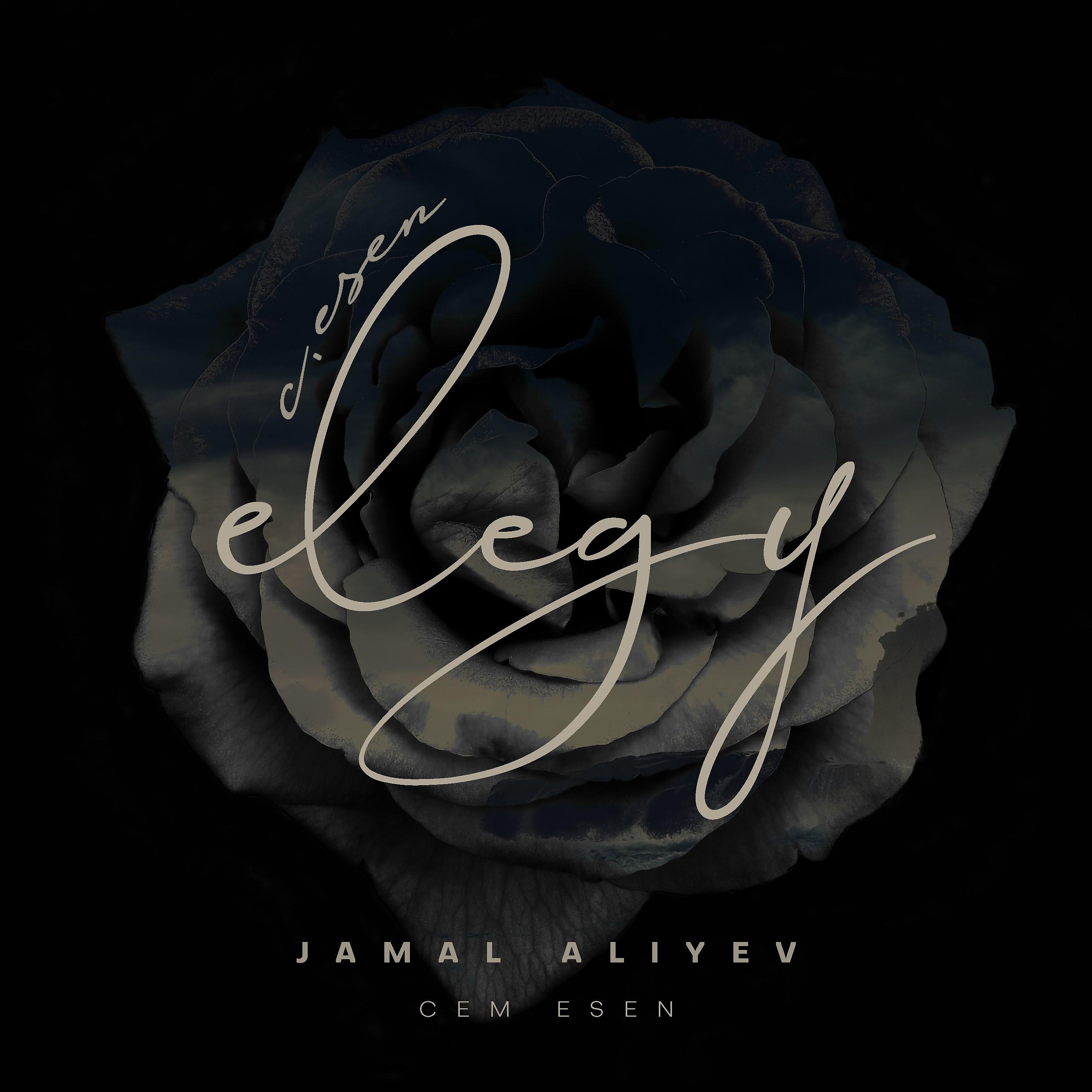 Постер альбома Elegy