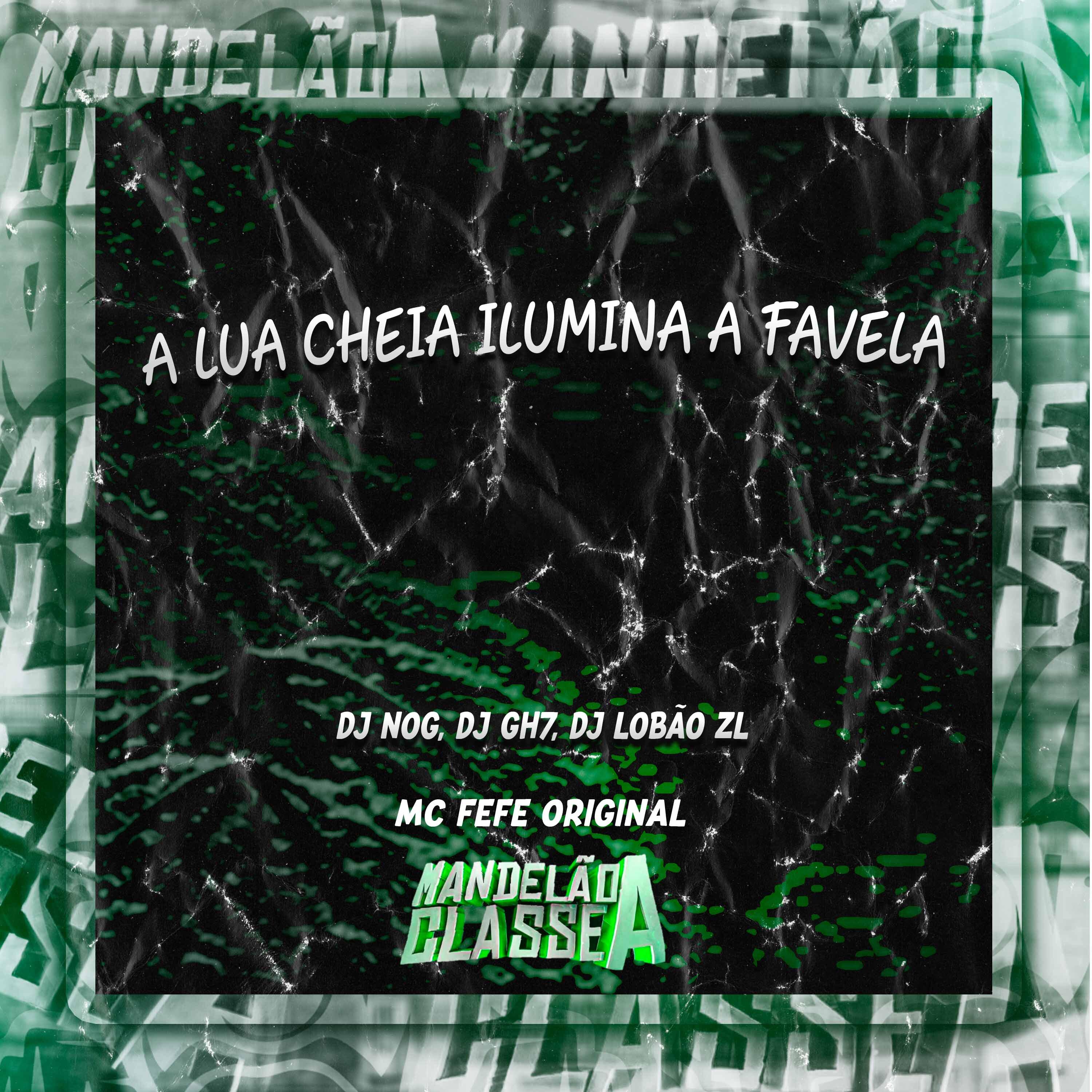 Постер альбома A Lua Cheia Ilumina a Favela