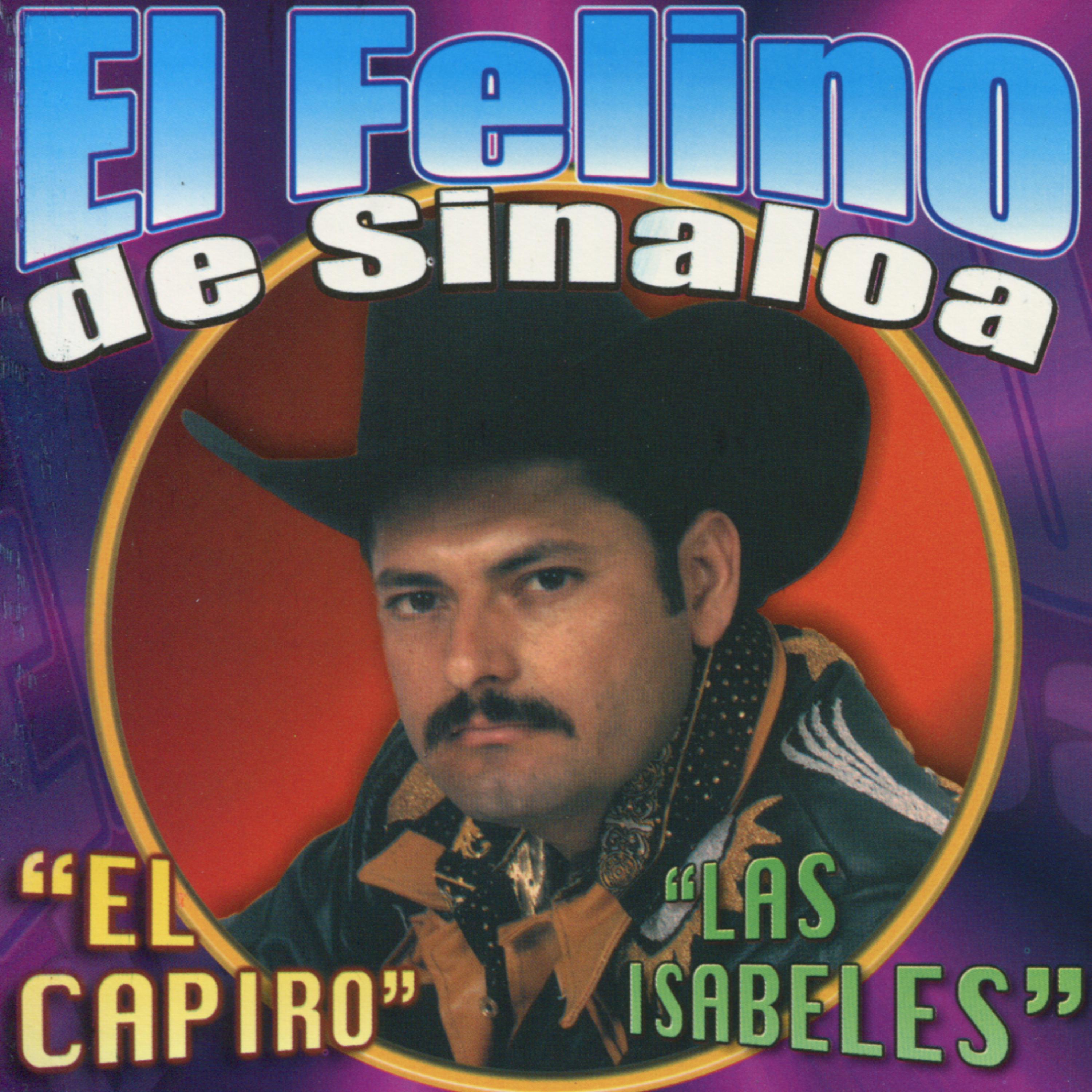 Постер альбома El Felino de Sinaloa