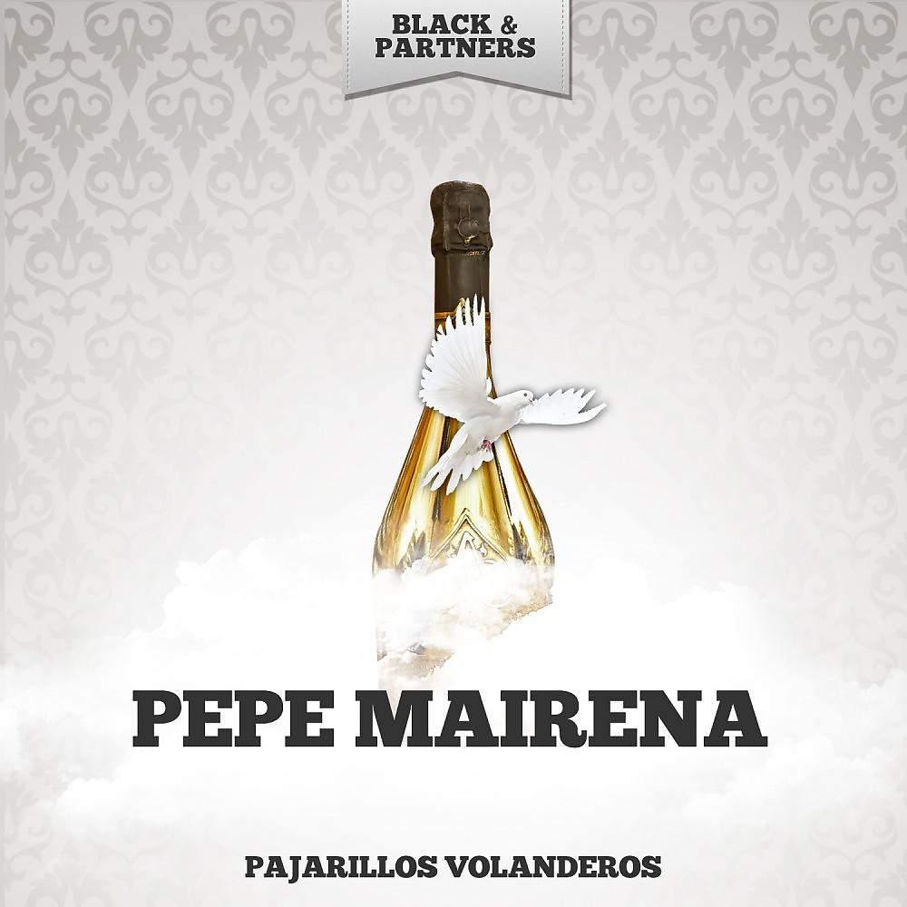 Постер альбома Pajarillos Volanderos
