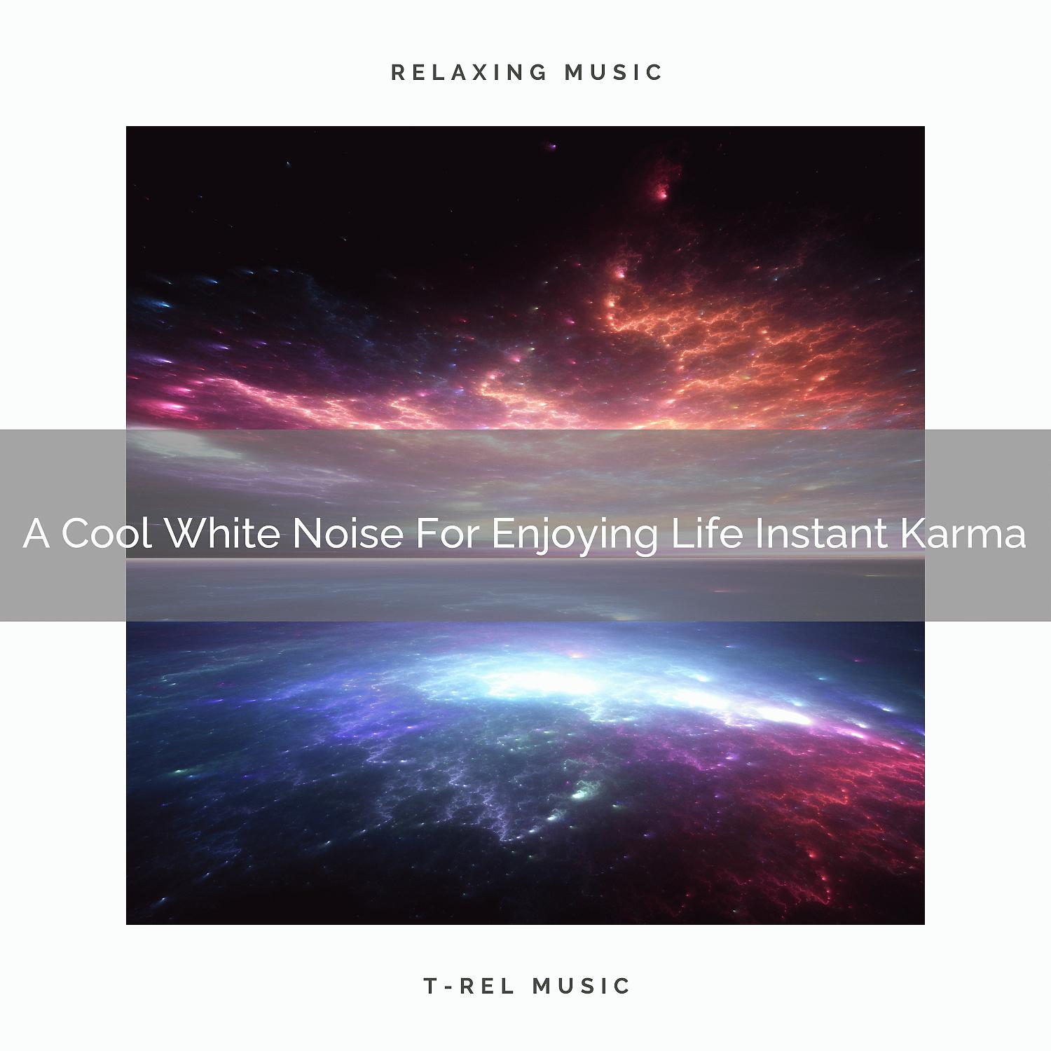 Постер альбома A Cool White Noise For Enjoying Life Instant Karma