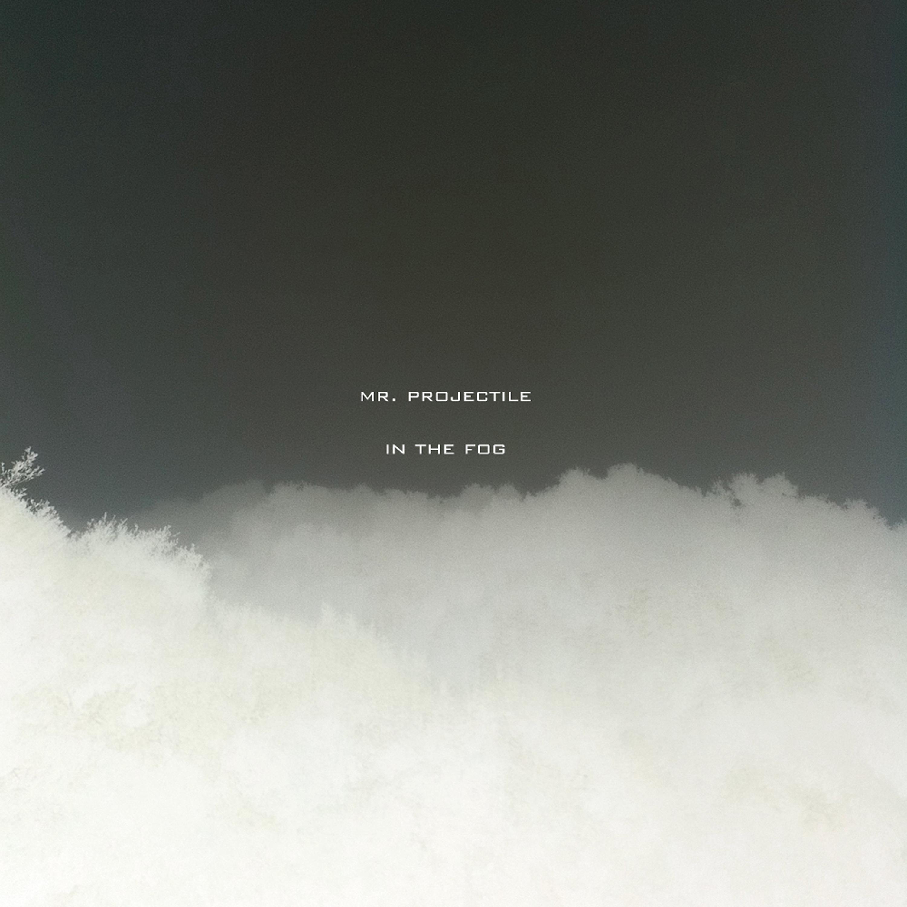 Постер альбома In the Fog
