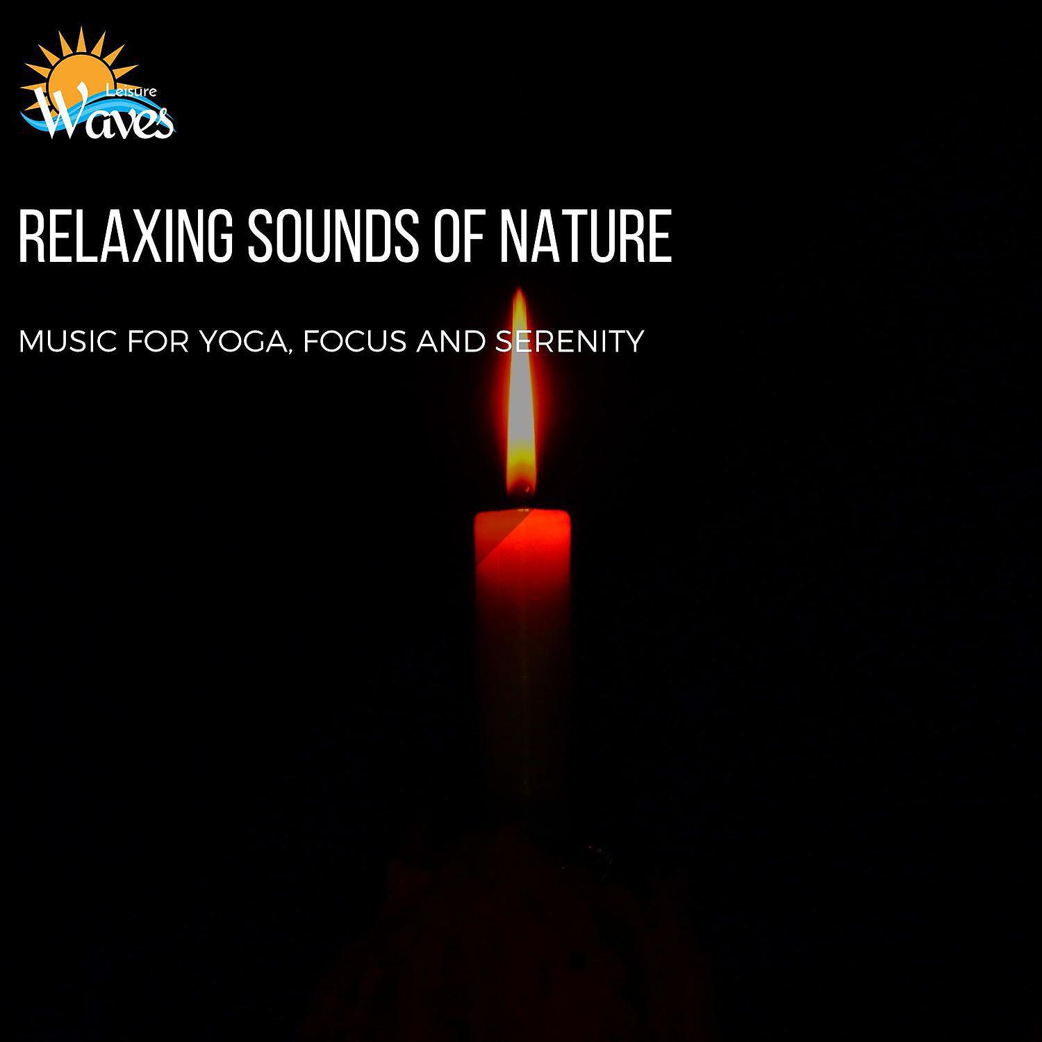 Постер альбома Relaxing Sounds of Nature - Music for Yoga, Focus and Serenity