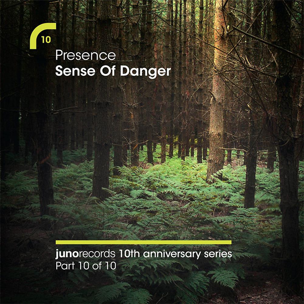 Постер альбома Sense Of Danger (Remixes)
