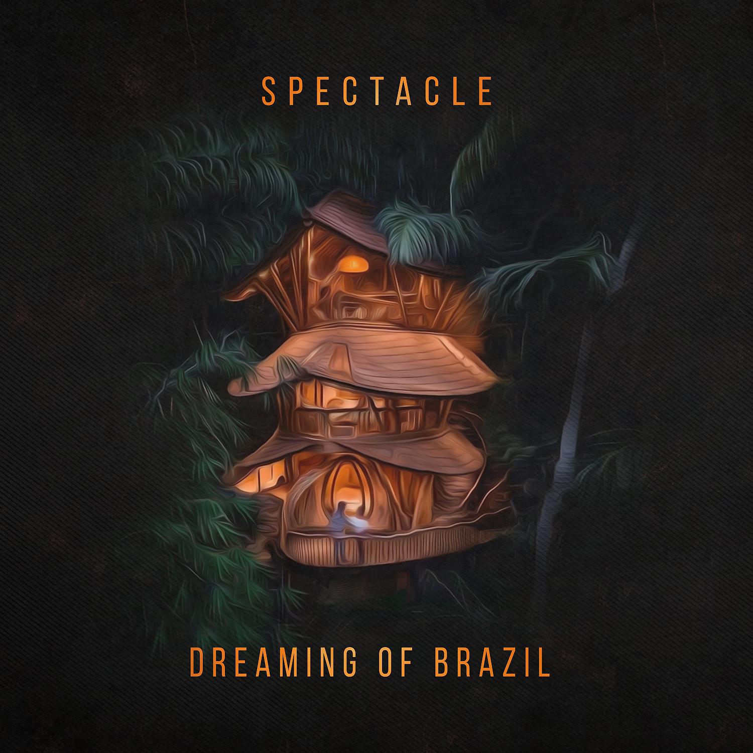 Постер альбома Dreaming of Brazil